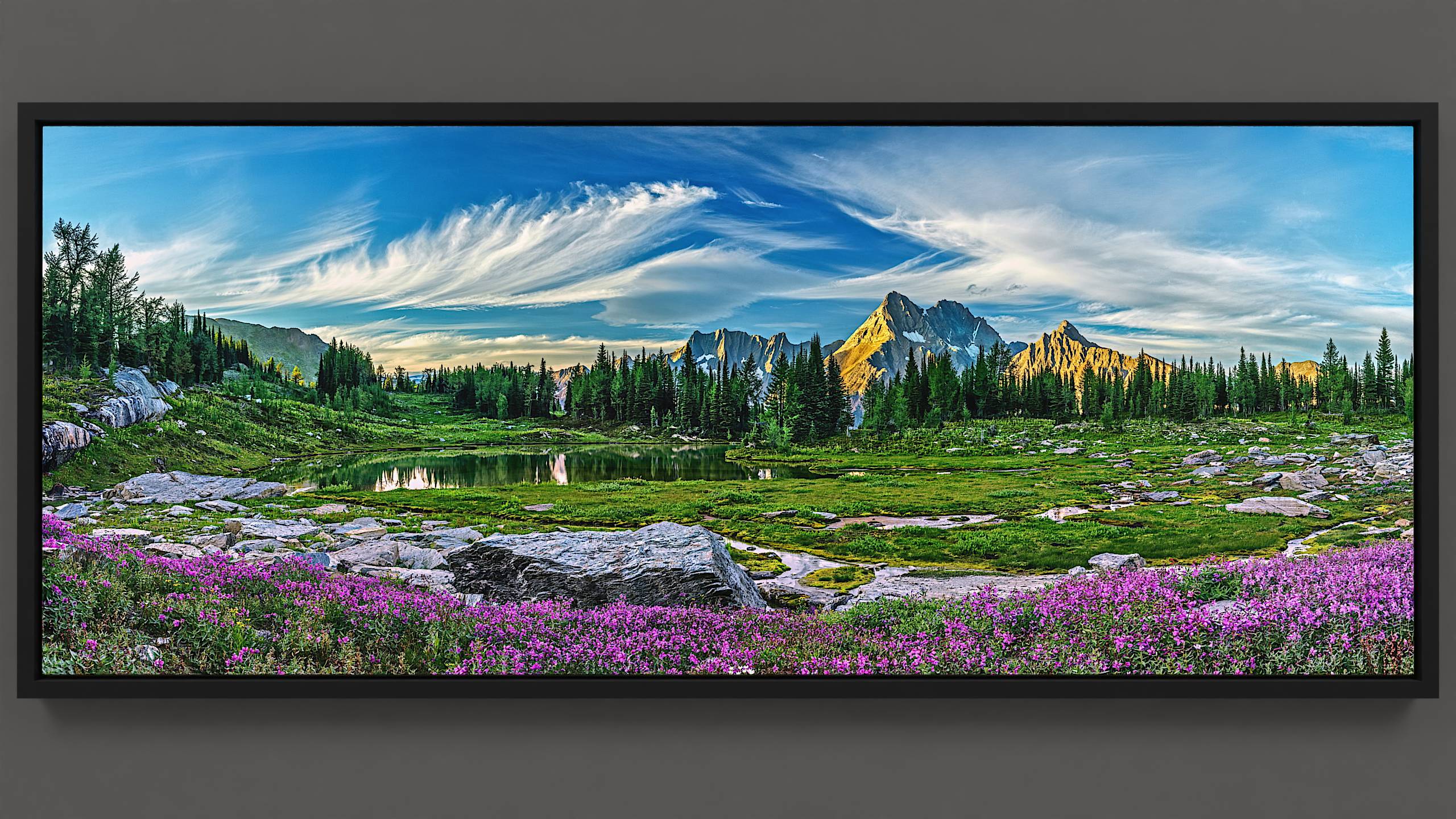 A late summer evening unveils Jumbo Pass' alpine beauty, highlighted by magenta blossoms and a tranquil pond in the foreground. The golden light of dusk delicately illuminates snow-covered Lieutenants, Jumbo, and Karnak mountains. Above, cirrus clouds sweep across a blue expanse.
