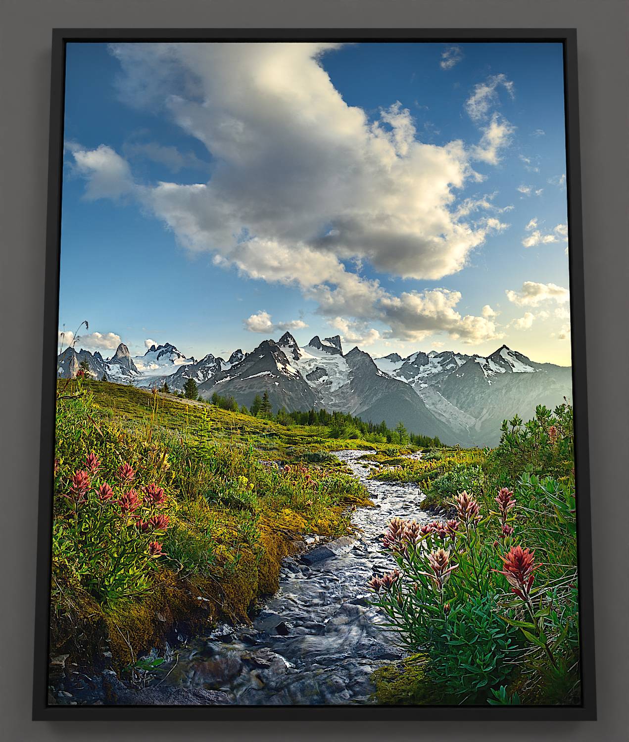 In the Bugaboo mountains, a swiftly flowing stream winds through an alpine meadow, disappearing into Howser Valley. Clusters of red and pink paintbrush wildflowers add vibrant touches. Beyond, the iconic peaks of Bugaboo Spire, Howser Tower, and the Vowel mountains rise against an azure sky, crowned with gleaming glaciers, framing the wild beauty of the Purcell wilderness.