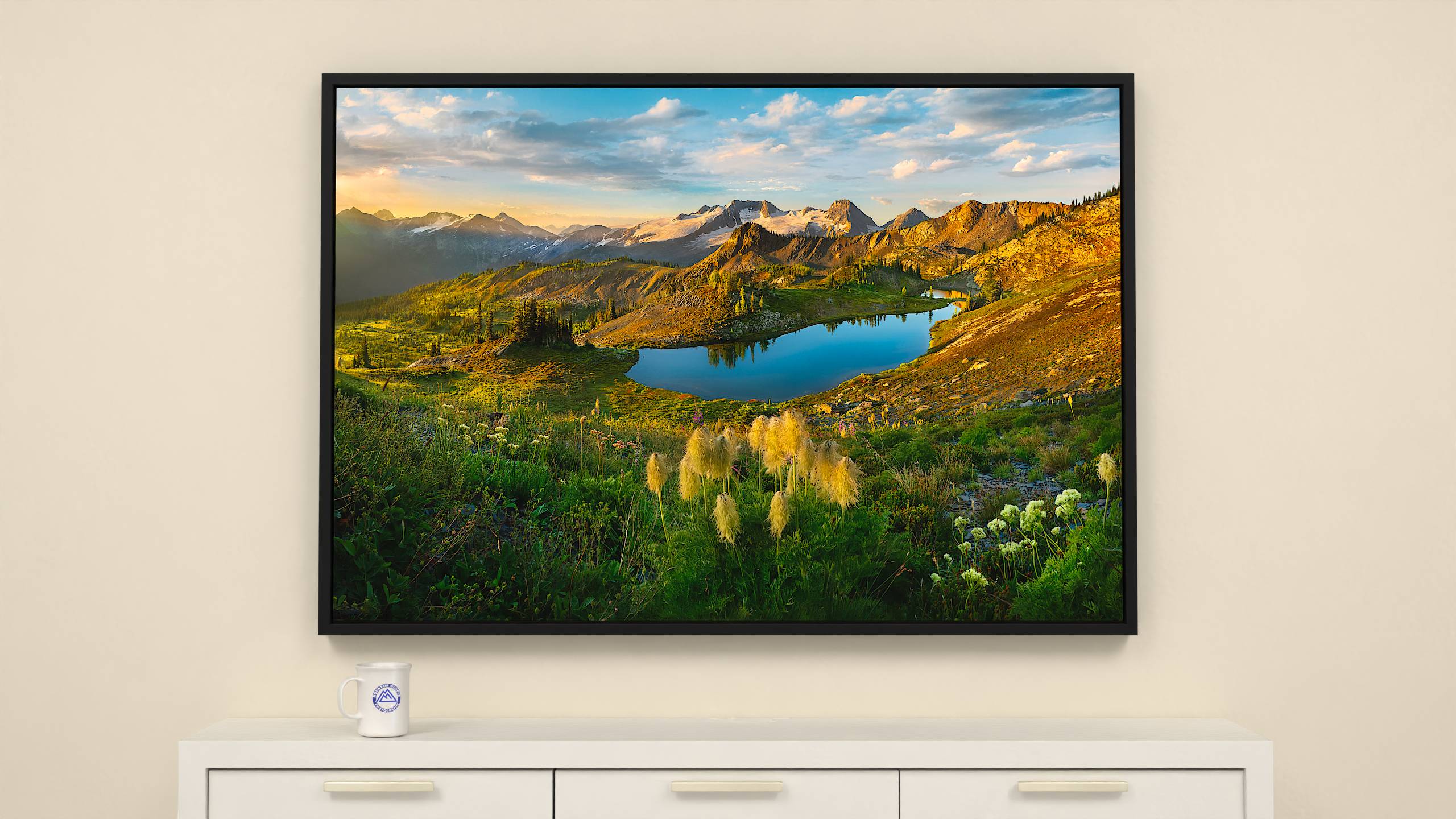 Anemones in the Sun - Silver Basin - Print - 56x38 - Black Frame Canvas Wall Art