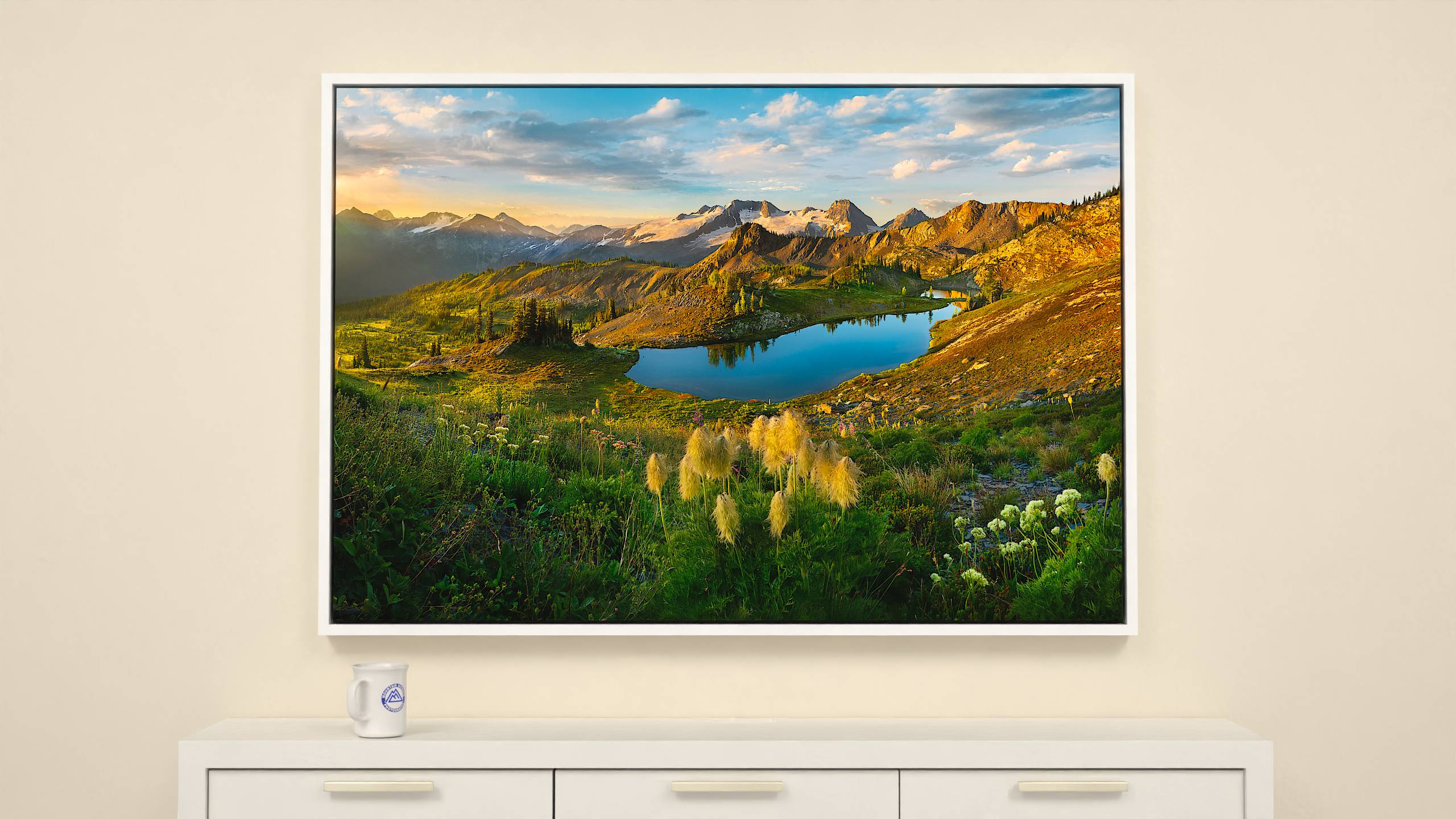 Anemones in the Sun - Silver Basin - Print - 56x38 - White Frame Canvas Wall Art