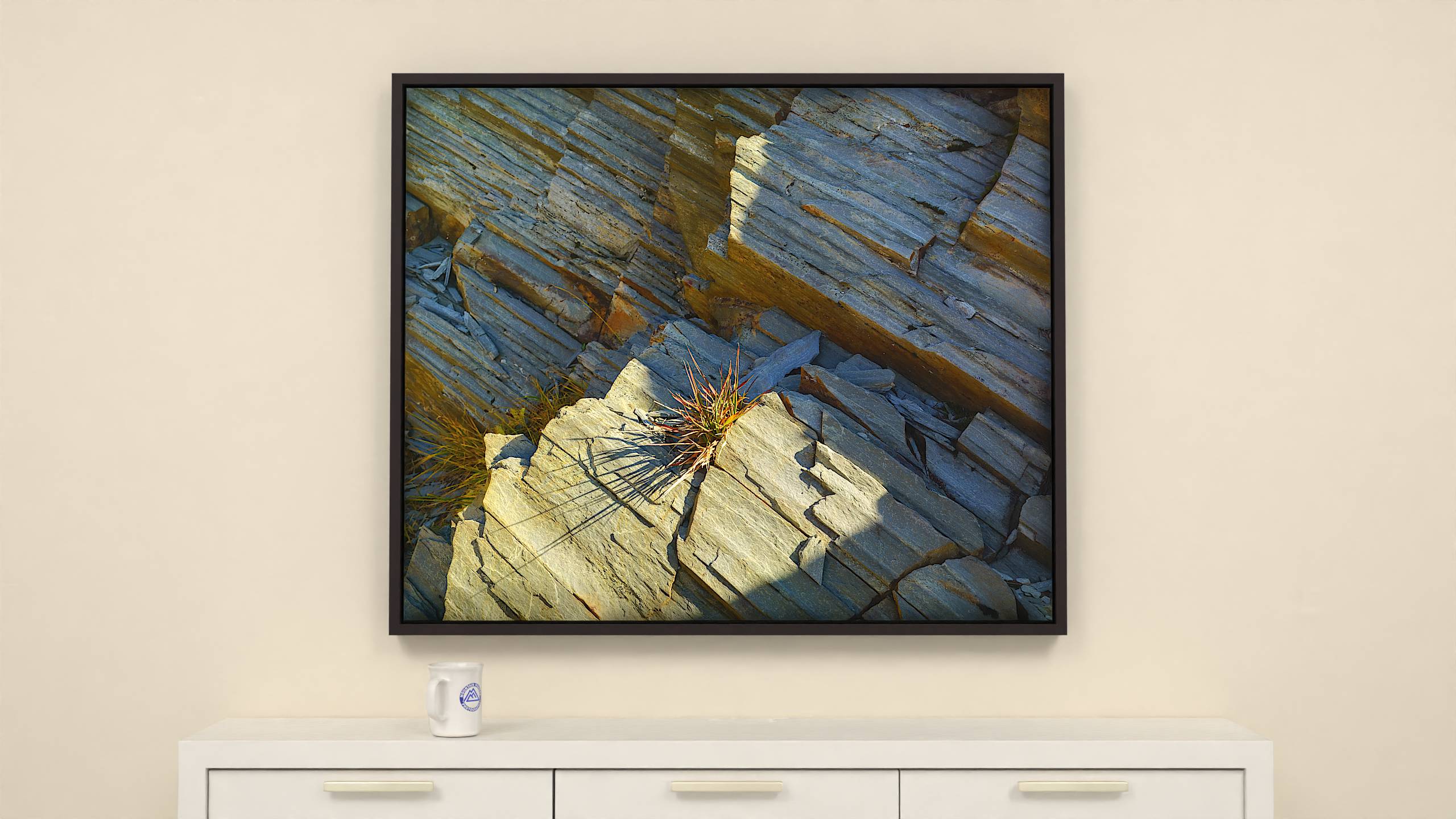 Alpine Rock Detail - Print - 46x38 - Espresso Frame Canvas Wall Art
