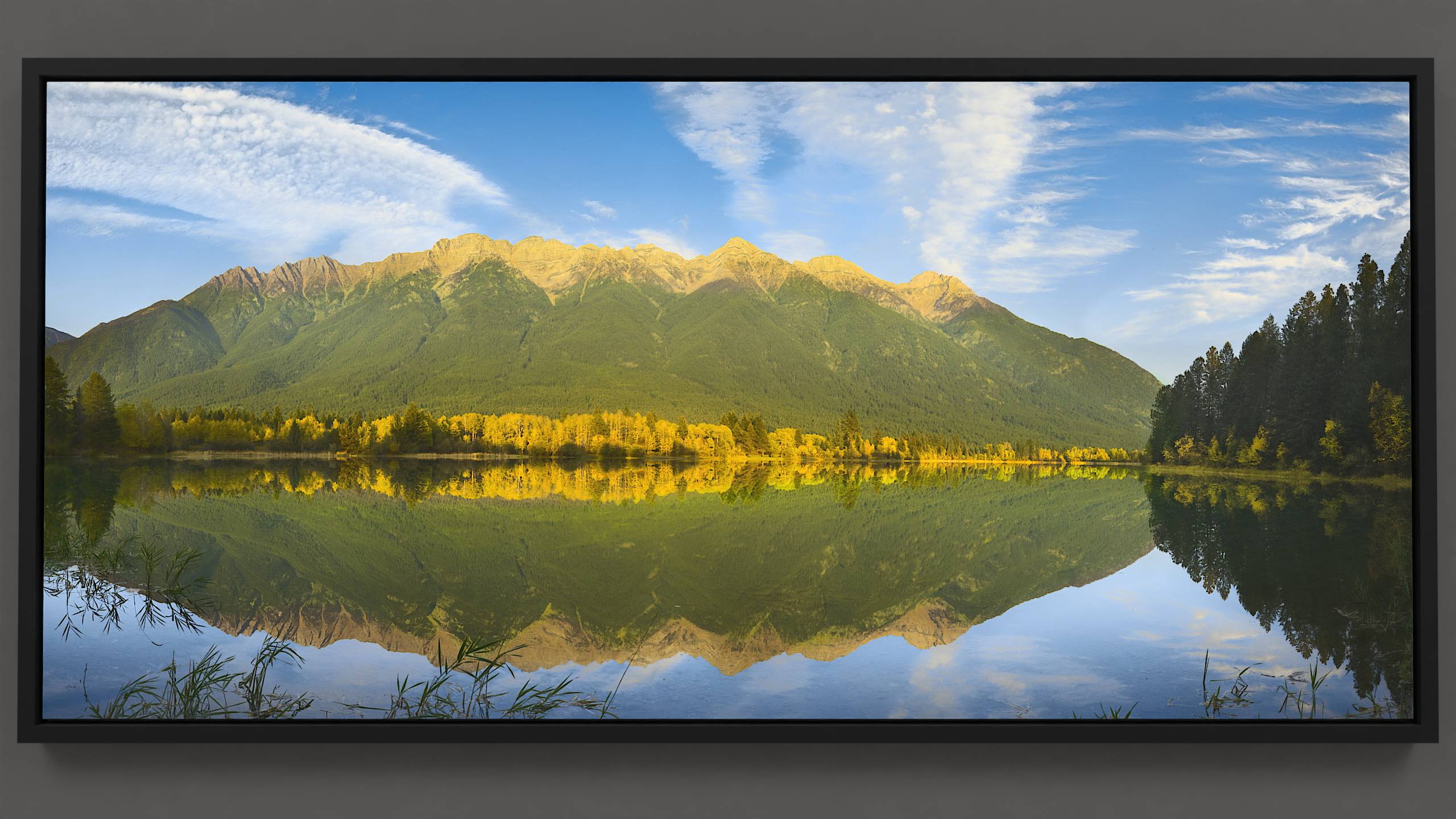An autumn evening at Norbury lake in the East Kootenay. Golden aspens across the lake which are reflected in the calm water. The mountains in the background are called the Steeples and they have warm, golden light which is reflected in the lake.  The blue sky has sweeping, cirrus clouds above the mountains.   