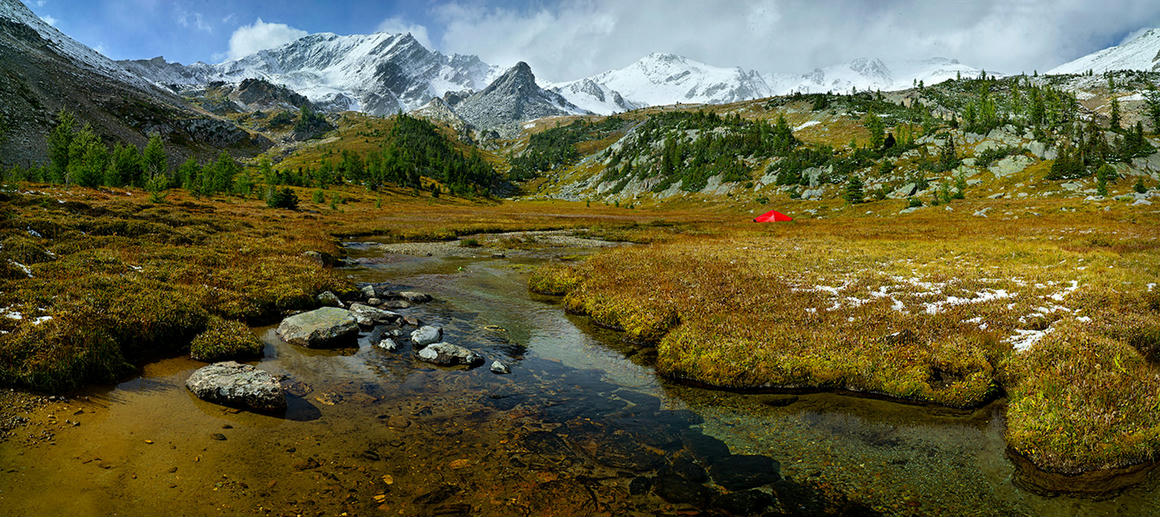 Lone red tent in an expansive alpine meadow with a stream in the foreground and snow-capped mountains in the distance, during an autumn photography trip near Bugaboo Park