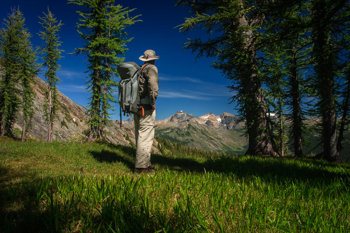 Photographer Howard Smith in Silver Basin, navigating through vibrant greenery and towering trees with a mountainous backdrop in search of perfect photographic scenes
