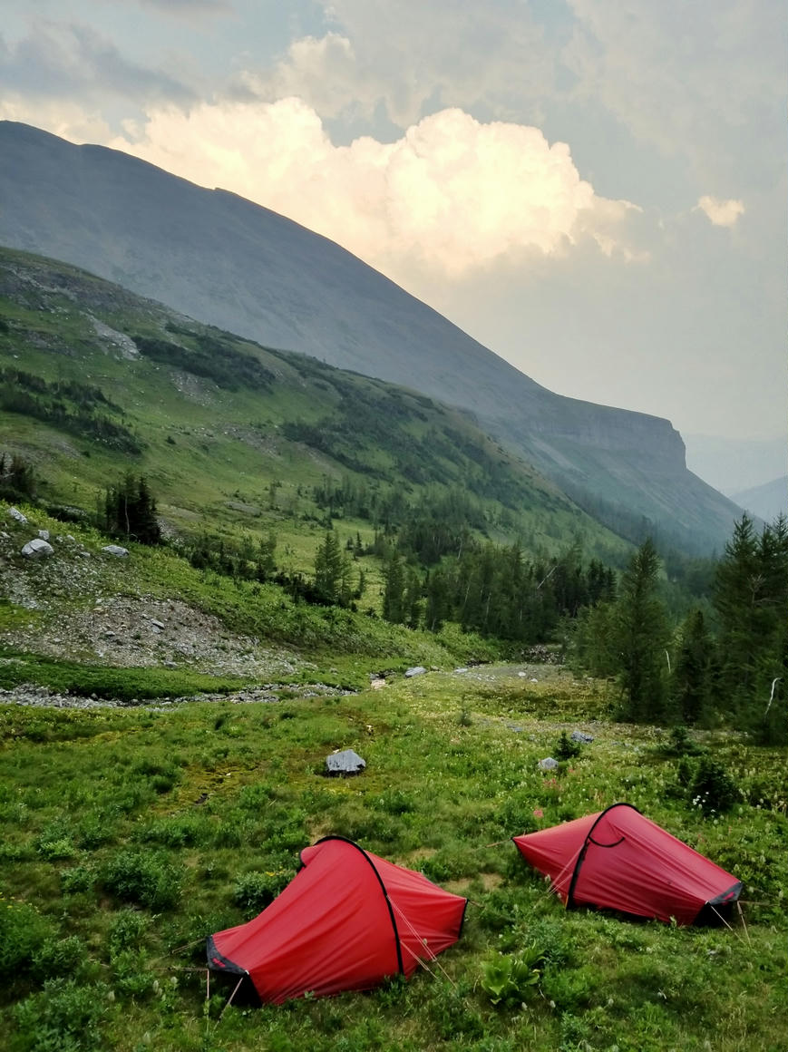 Red tents pitched on a lush alpine meadow during a summer photography trip in the Canadian Rockies, with a backdrop of rolling hills and wildflowers