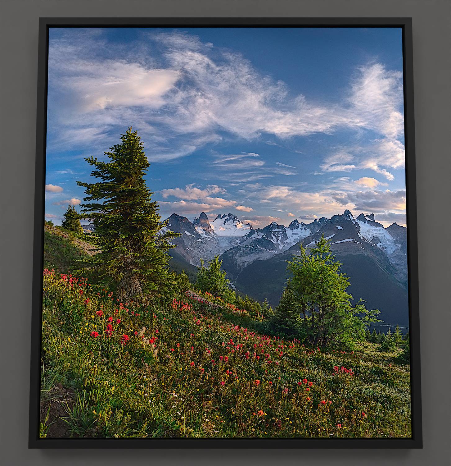 From high in the alpine, the Vowel range spans outward. A green meadow sprinkled with red paintbrush wildflowers sways beneath gnarled fir and alpine larch trees. Beyond, craggy peaks house blue glaciers, including the prominent Howser tower, all under a sky graced with sweeping clouds.