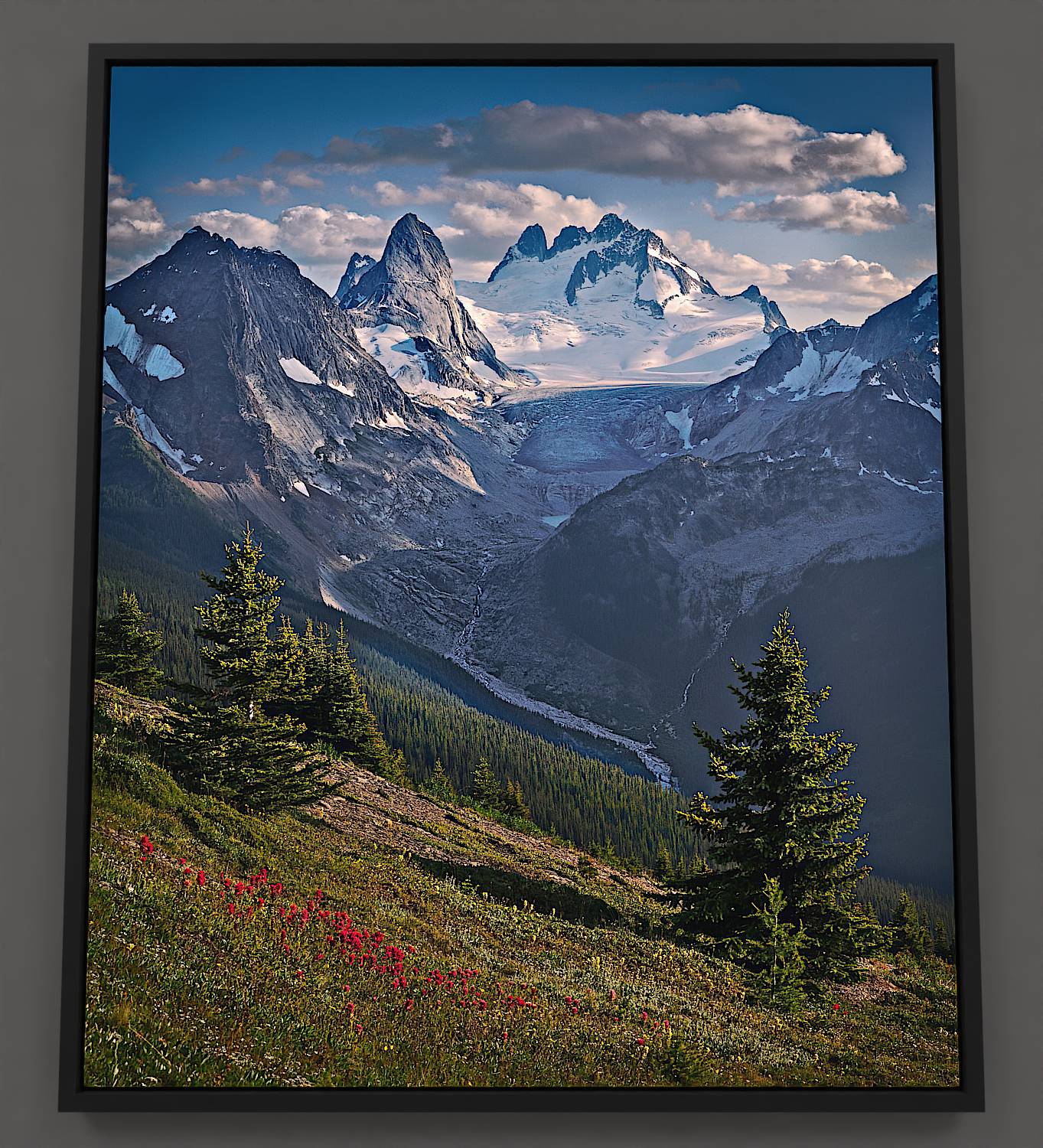An evening unfolds across the alpine landscape of the Bugaboo Mountains. Swaying meadow grasses, adorned by red paintbrush wildflowers and green ferns, blanket the foreground. Fir trees mark the sweeping slope into the valley, where the Bugaboo spire rises, basking in the soft sunlight. The distant Howser tower ascends from a radiant glacier, nearing cloud-touched peaks, while cumulus clouds adorn the vibrant sky.