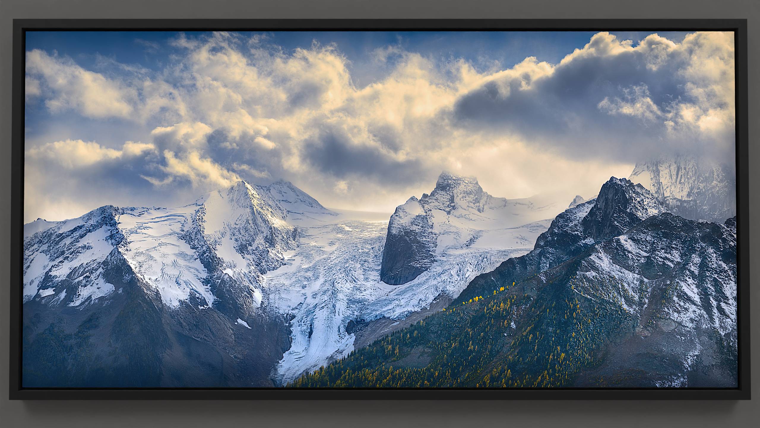 Late afternoon reveals Bugaboo spires in a panoramic format: golden larches catching the sun on a textured, snow-dusted ridgeline. The backdrop features a massive glacier with crevasses ranging from white to cool blue. Prominent granite formations, Hounds Tooth, Marmolata, and Snowpatch, emerge from the glacial expanse, while the sun illumines billowing clouds soaring above the peaks against a deep blue sky.