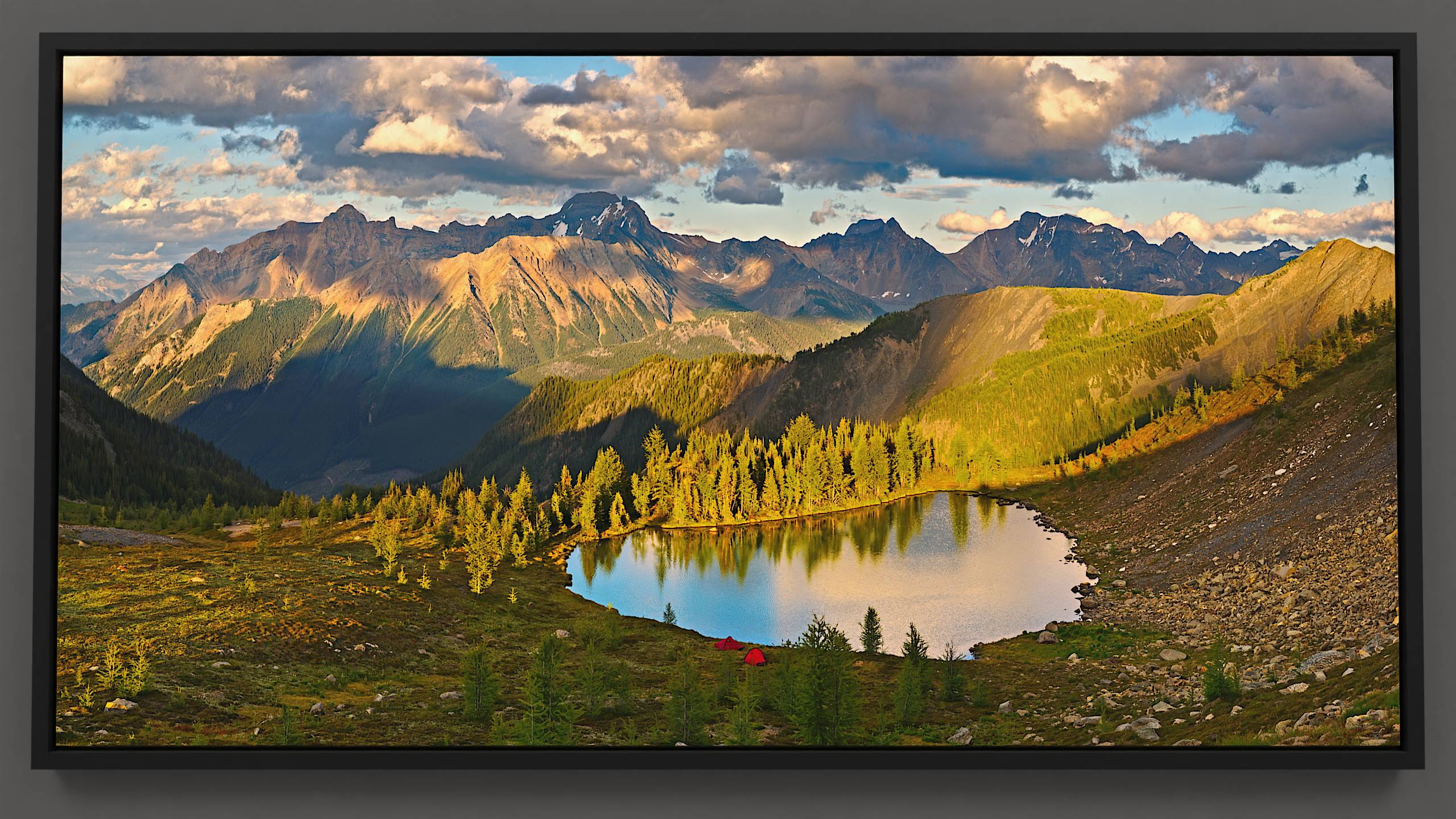 An evening unfolds over the Bugaboo mountain range, where two red tents reside by a small alpine lake reflecting the overhead blue sky and cumulus clouds. Larch and fir trees on the far shore mirror in the water, their forms illuminated by the sunset. Beyond, the Septet mountain range and adjacent ridges bask in dappled evening light.