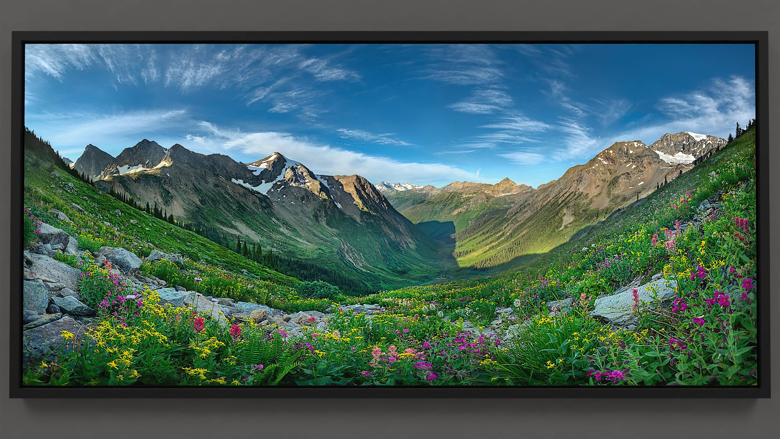 An early morning in the Bugaboos displays a panorama of a lush hillside meadow brimming with wildflowers, including arrowleaf, paintbrush, river beauties, monkey flowers, anemone, and ferns. A waterfall graces the valley, with sunlight warming distant mountain peaks under a sky painted with sweeping cirrus clouds.