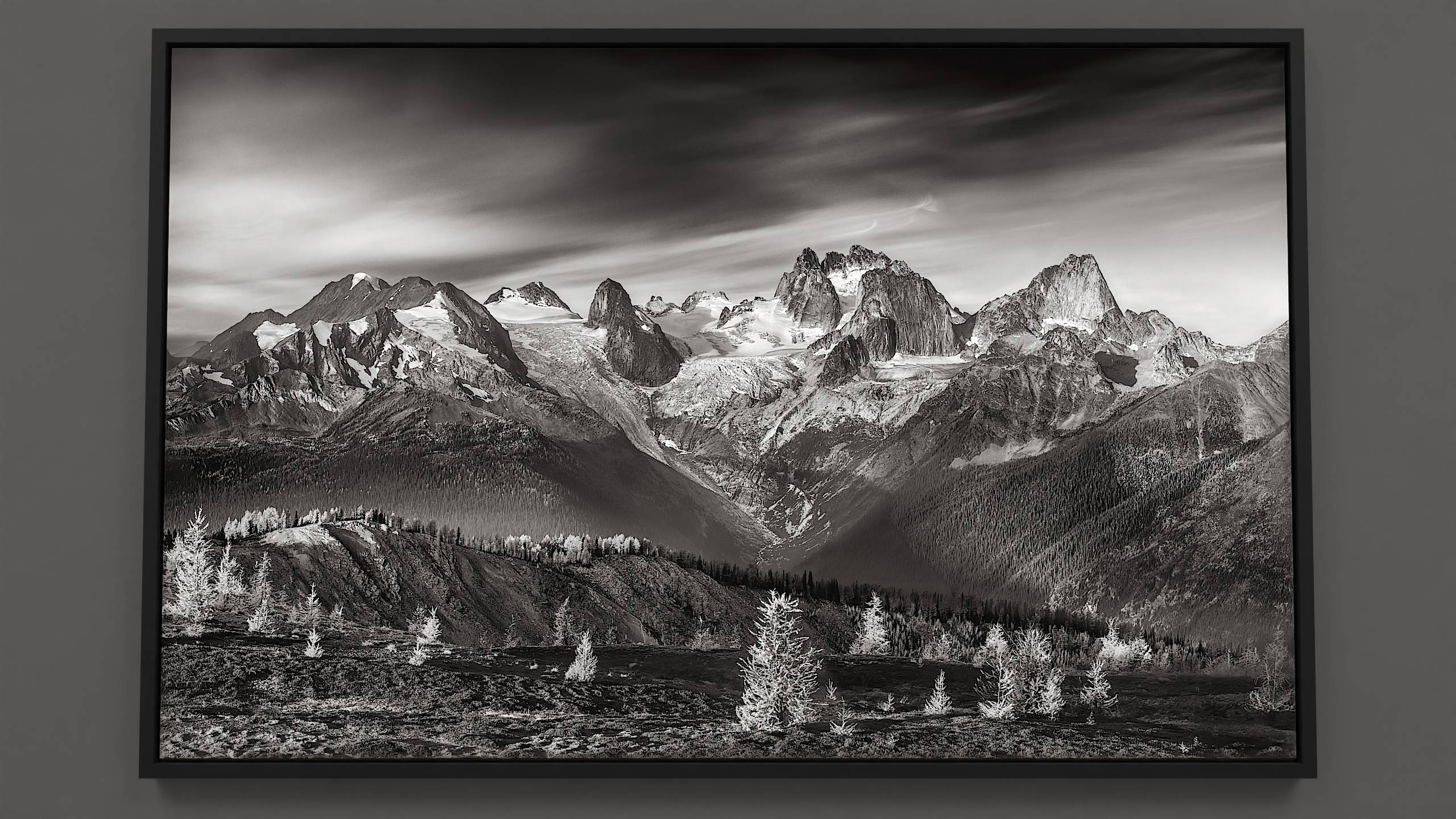 Bugaboo Horizon