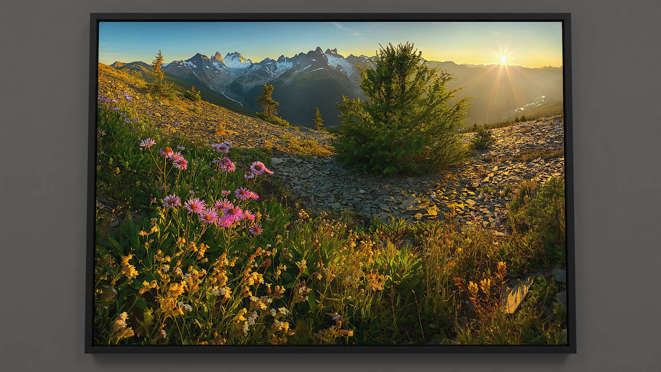 Bugaboos Sundown