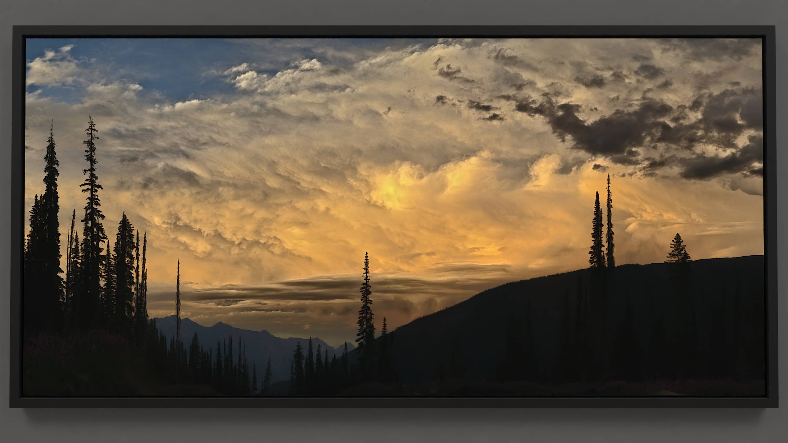 Bugaboo Sunset's Symphony - Stunning wrapped canvas print with silhouetted firs and a captivating golden sky