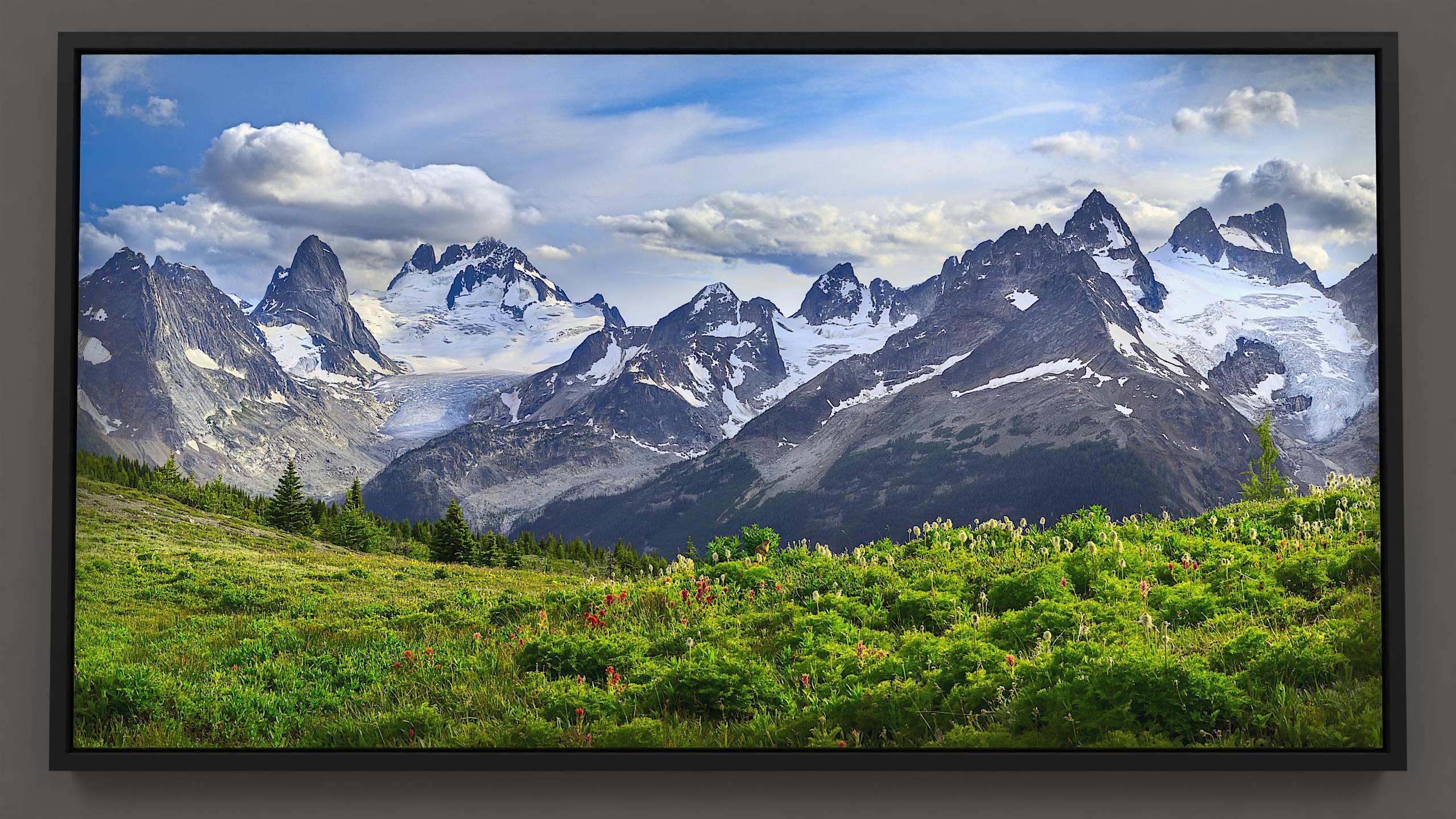 From high in the alpine, the Bugaboo mountain range stretches out, its meadows a carpet of lush green Anemone and deep red paintbrush wildflowers. A Columbia Ground-squirrel stands guard near its home, fir and alpine larch trees speckling the hillside. The valley's Vowel peaks rise, holding blue glaciers, while the rocky Howser tower and granite Bugaboo Spire loom overhead, set against a vibrant blue sky full of billowing cumulus shapes.