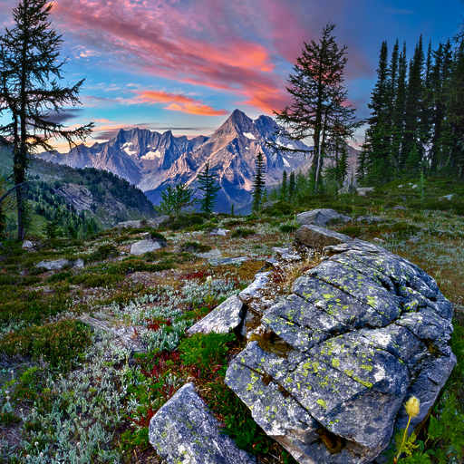 Seasonal Splendor: Spring, Summer, Fall, Winter.