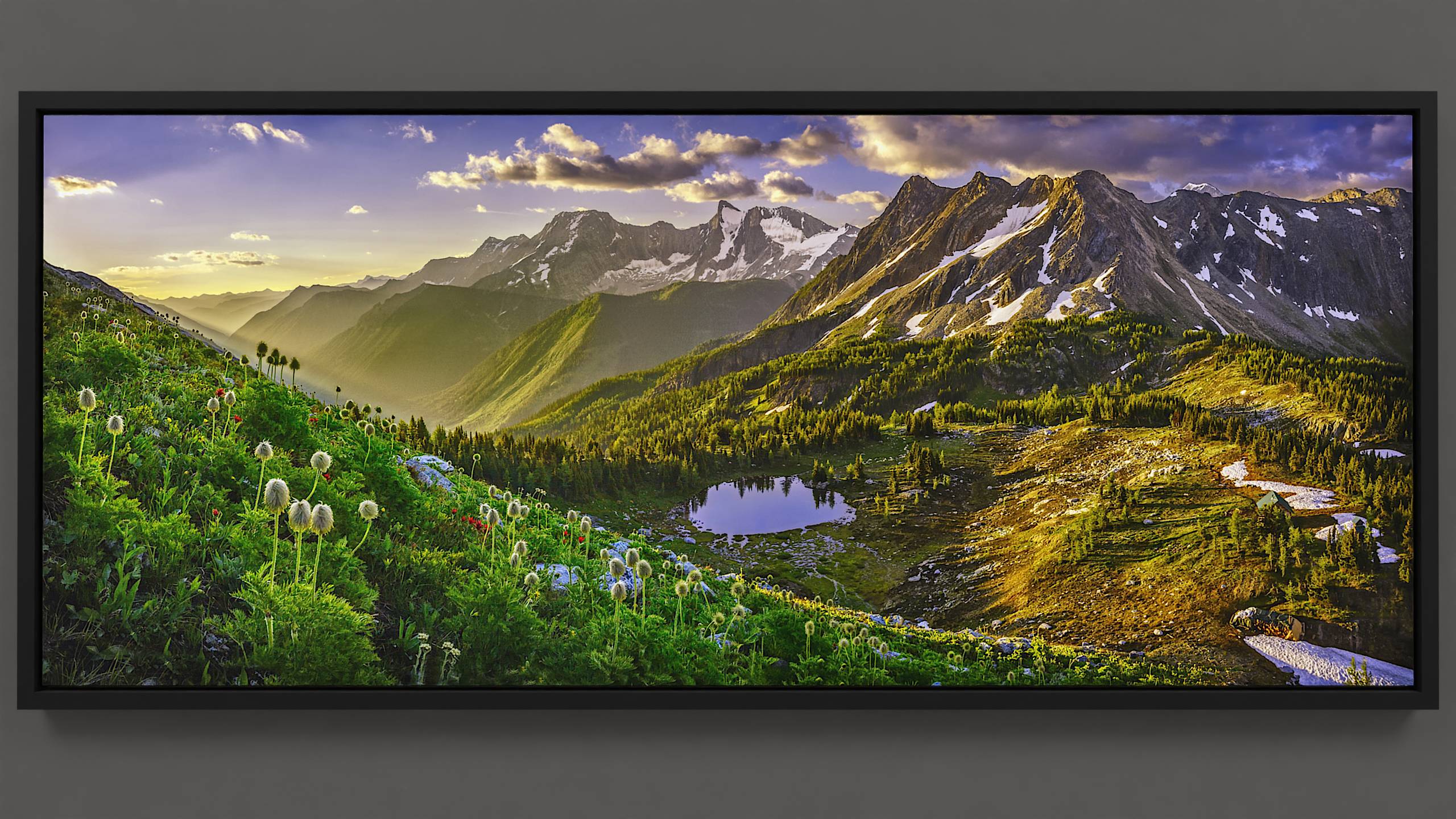 Overlooking a panoramic summer vista of Jumbo Pass from a hillside blanketed with swaying anemone and paintbrush wildflowers. The hidden sun casts shadowy rays on the hillside, while the pass beneath basks in the warm embrace of dawn. Trees, scattered on the pass, interplay shadow and light around a serene lake reflecting the clear sky. A lone cabin sun-kissed, stands by the pass, with the golden-glowing Bastille Mountain in the backdrop. The vibrant sky overhead hosts clouds rushing under the morning sun's tender illumination. Daybreak has arrived on Jumbo!