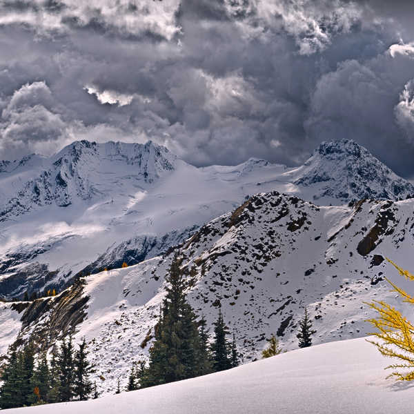 Early Winter Gold