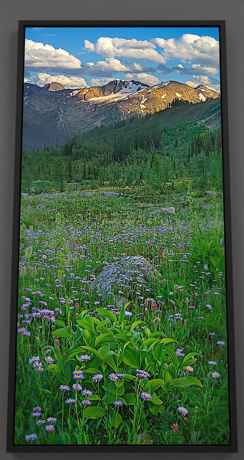 Alpine Serenade - Captivating canvas print showcasing a meadow with wildflowers, fir trees, and glacier-crowned mountains.