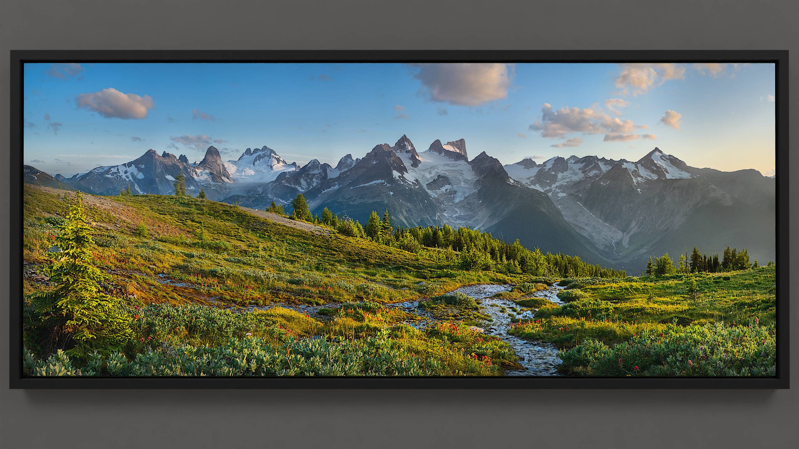 Overlooking the Bugaboo mountain range, a hillside meadow brims with red paintbrush wildflowers, gurgling streams, and fir and alpine larch trees. Beyond, Vowel peaks uphold blue glaciers, near the towering Howser summit beneath a vibrant sky.