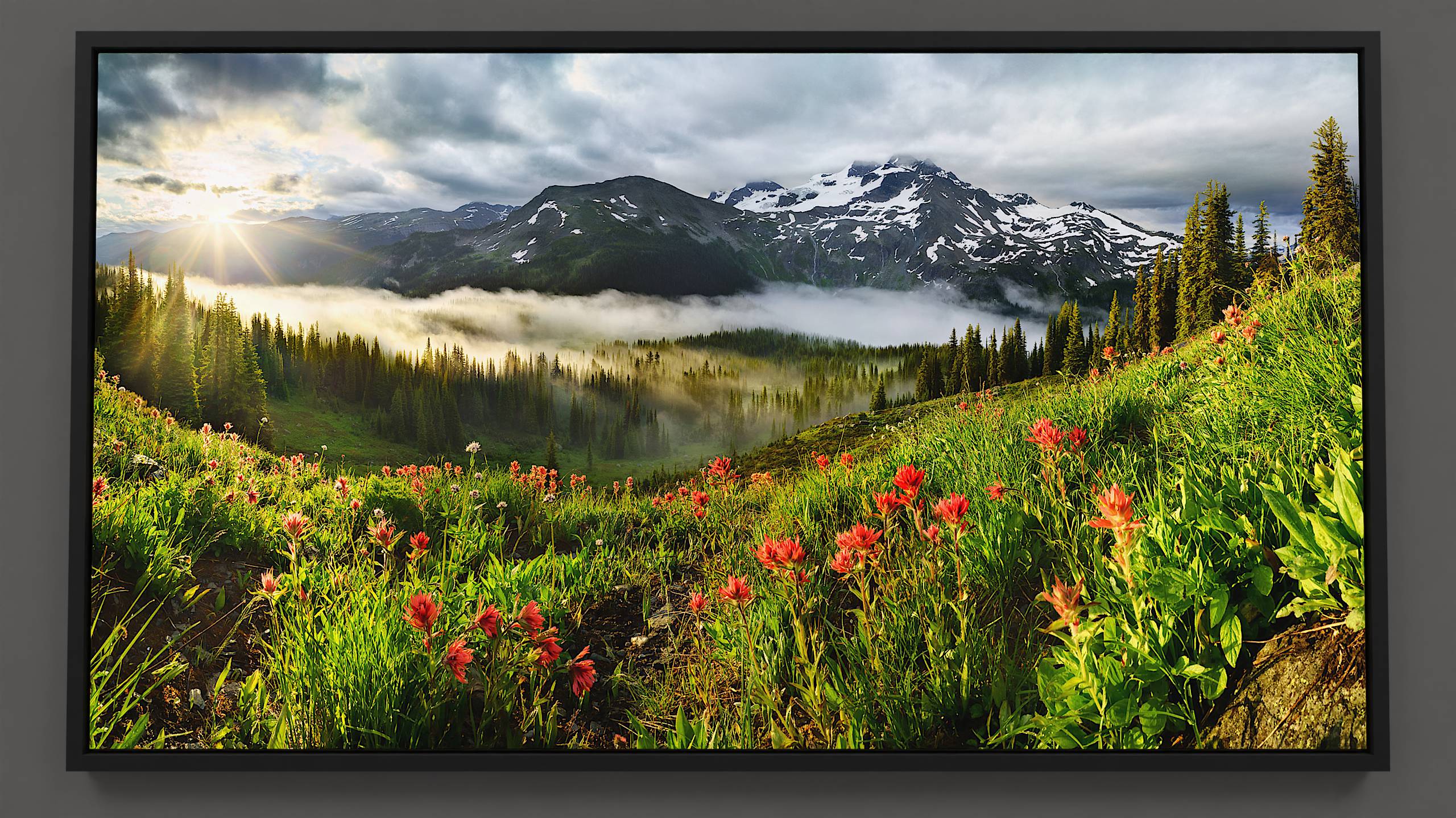 Fiery red Paintbrush wildflowers grace an alpine hillside, kissed by the morning sun. Mist weaves between backlit fir trees on a mountain pass, casting intriguing shadows. The Spilliamsheen mountain rises, holding its snowy glacier, under a sky sporadically brightened by the sun through the billowing clouds.