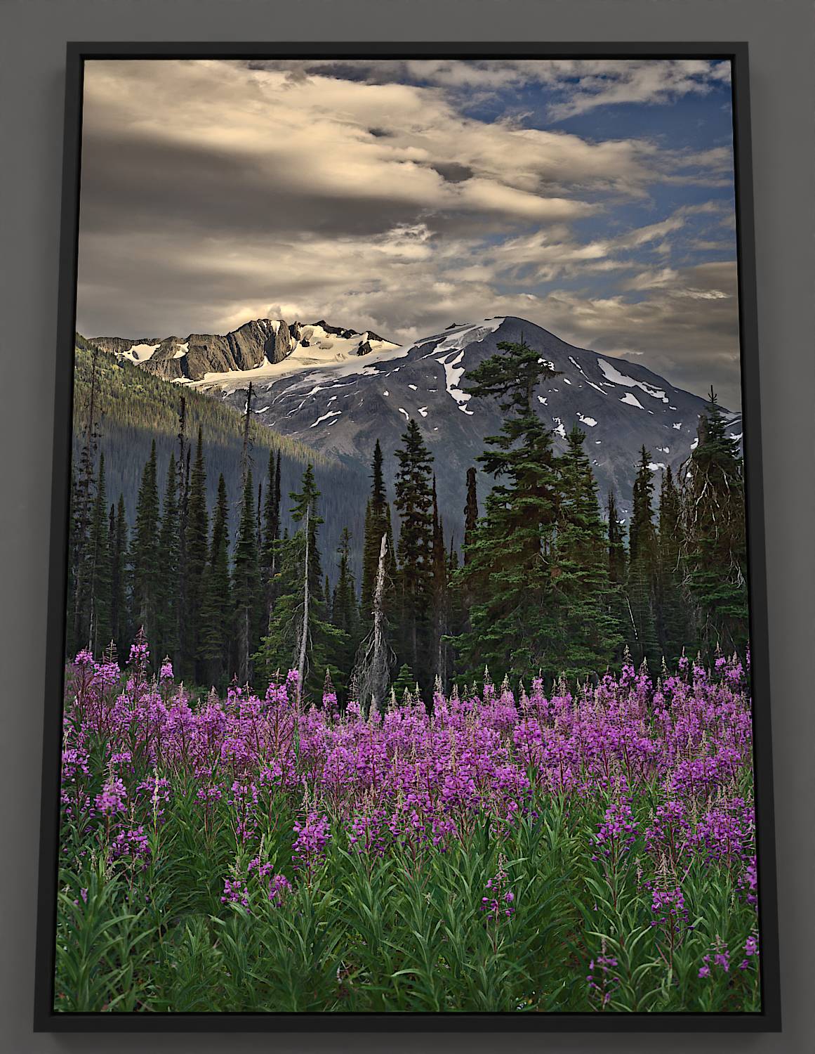 Fireweed