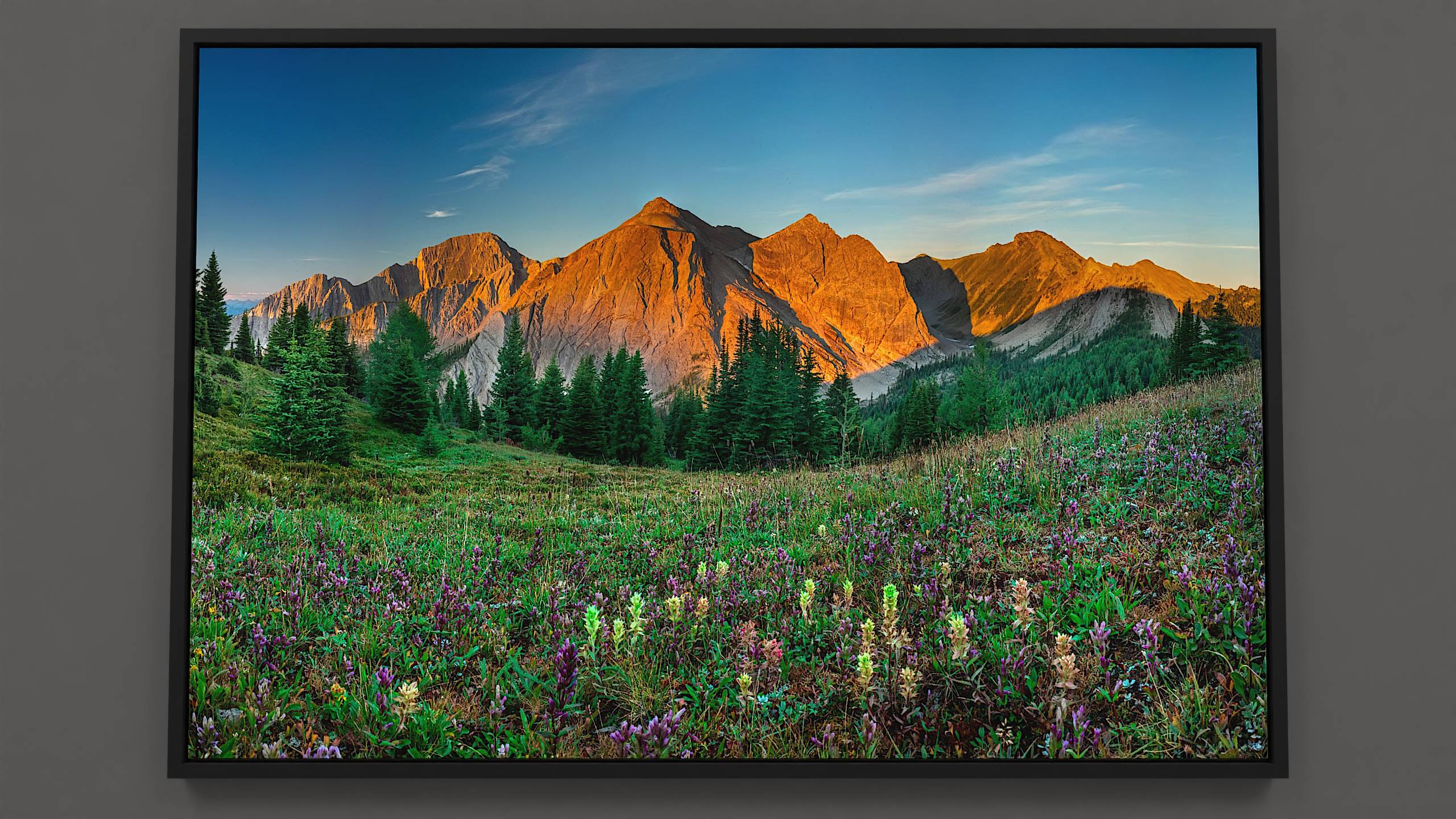 First Light on Pedley Pass