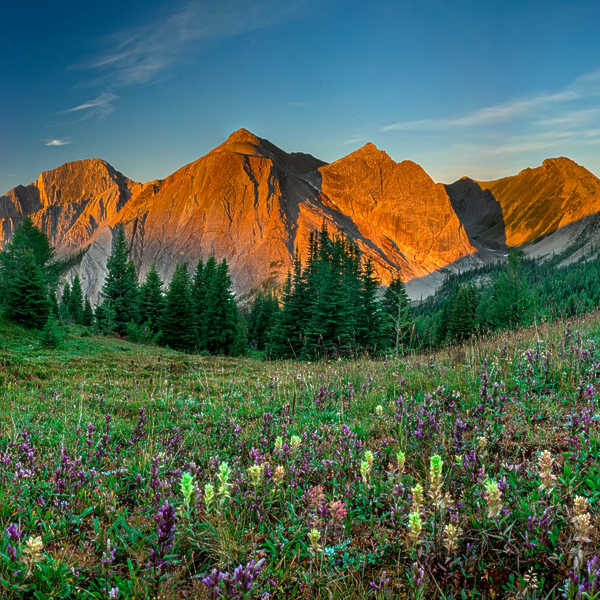 First Light on Pedley Pass