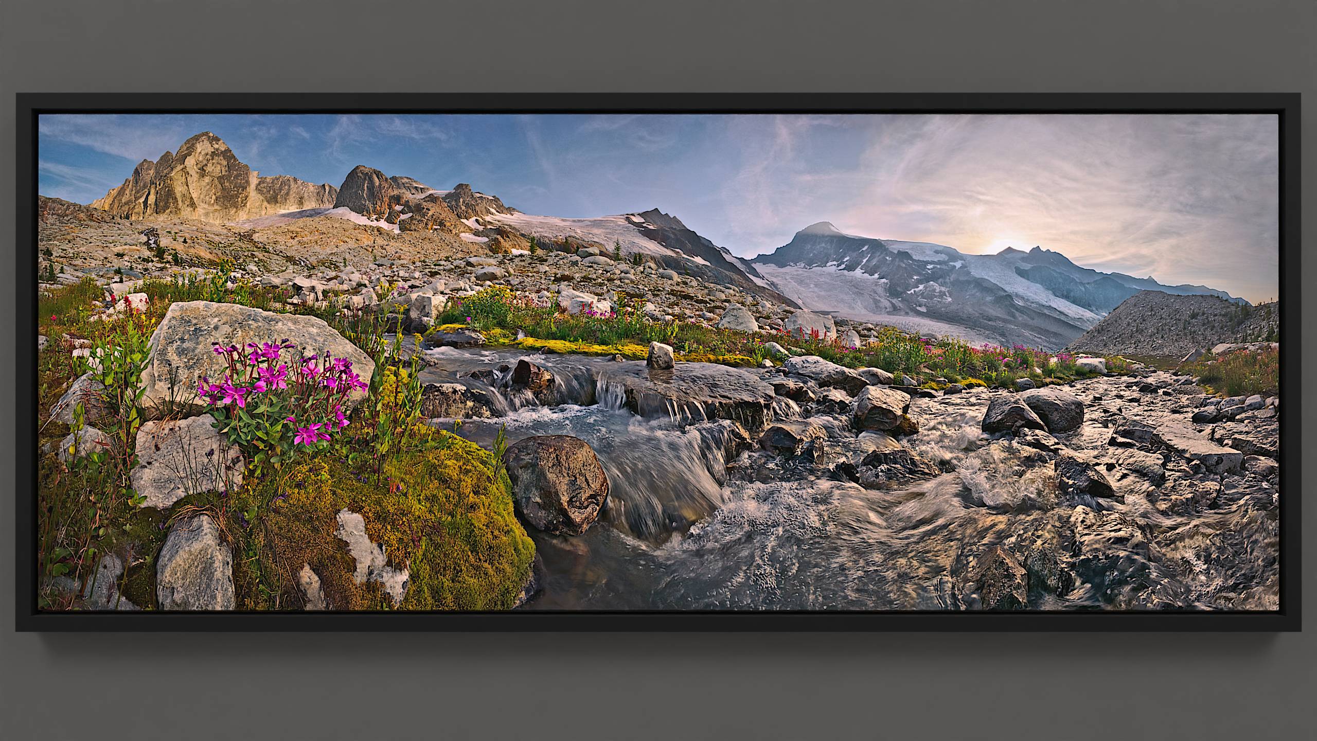 An alpine stream tumbles beneath the tranquil expanse of the Horseshoe Glacier. Encircling the stream, vibrant moss hosts clusters of River Beauty wildflowers. A clear blue sky, dotted with wispy cirrus clouds, crowns the scene. In this space, millennia-old ice feeds life.