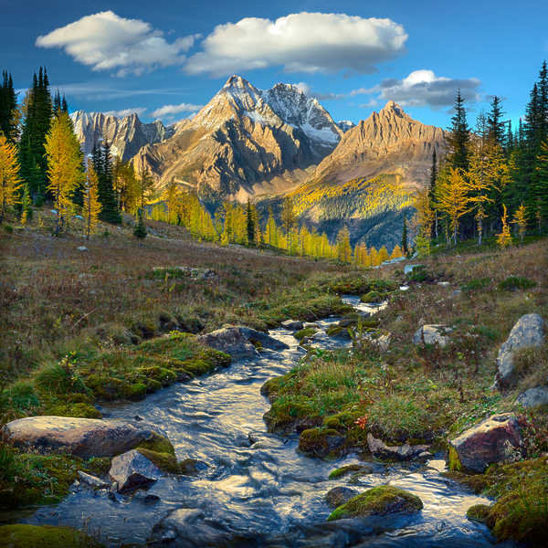 Soft Flowing