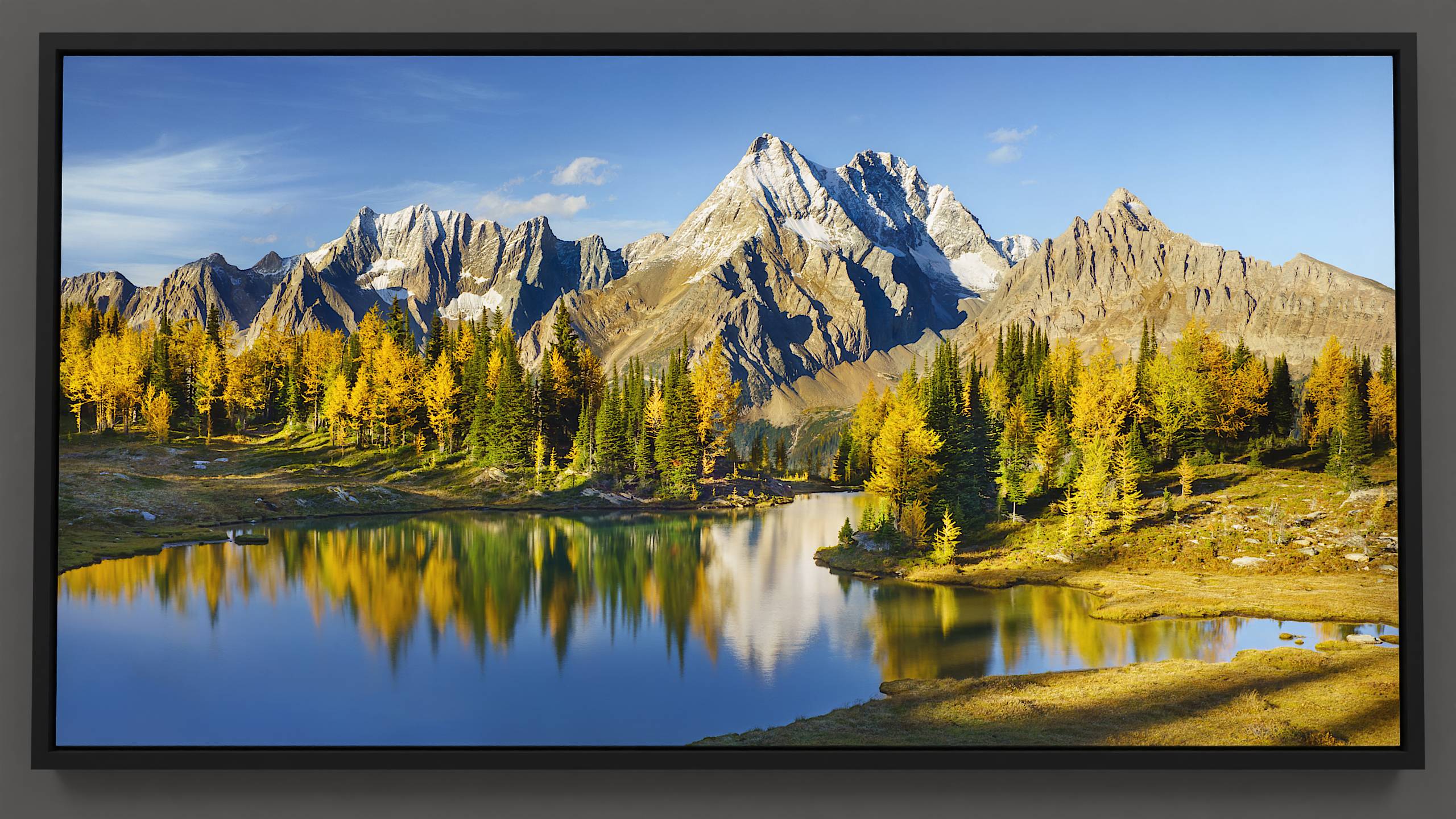On a timeless autumn evening in Jumbo Pass, a tarn mirrors the vivid sky and golden larches, framed by the snow-dusted peaks of the Lieutenants, Jumbo, and Karnak mountains. Sweeping cirrus clouds weave above, casting a serene reflection, capturing the tranquil beauty of the Purcell wilderness.