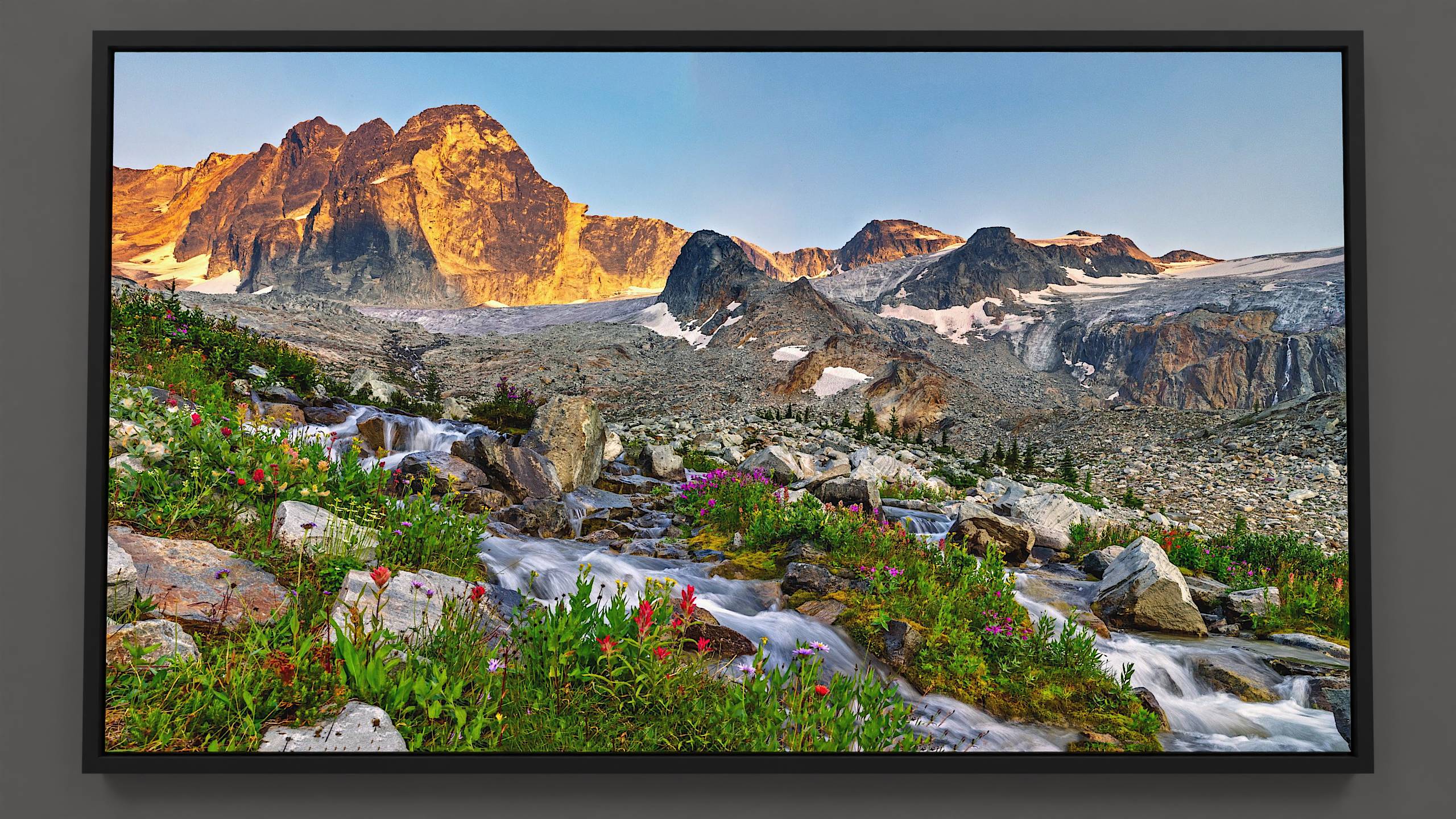 Golden evening hues gently illuminate the peaks near Jumbo Pass, set against a backdrop of cerulean sky. Foreground details reveal a lively stream meandering from left to right across a stony landscape, accompanied by splashes of floral pink, yellow, and blue. The stream's cheerful melody punctuates the scene.