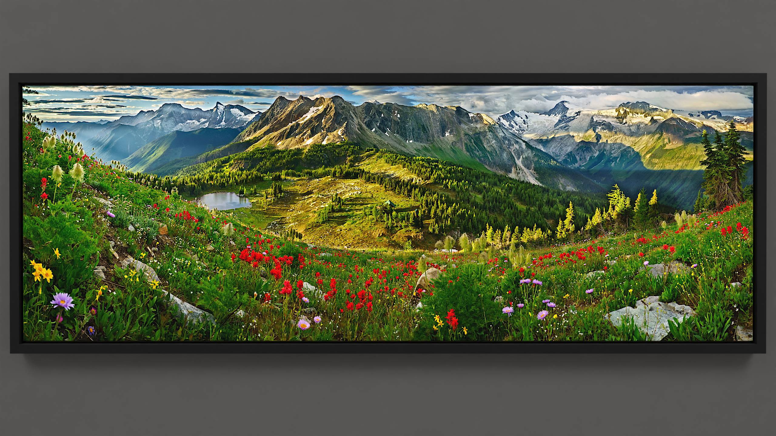 On a crisp summer morning at Jumbo Pass, the hillside teems with vibrant wildflowers—paintbrush, asters, and anemone—bathed in warm light. Below, clouds reflect in a tranquil lake adjacent to Jumbo cabin. Beyond, Bastille Mountain and the distant Horseshoe glacier meet the sun's rays under a cloud-dappled sky.