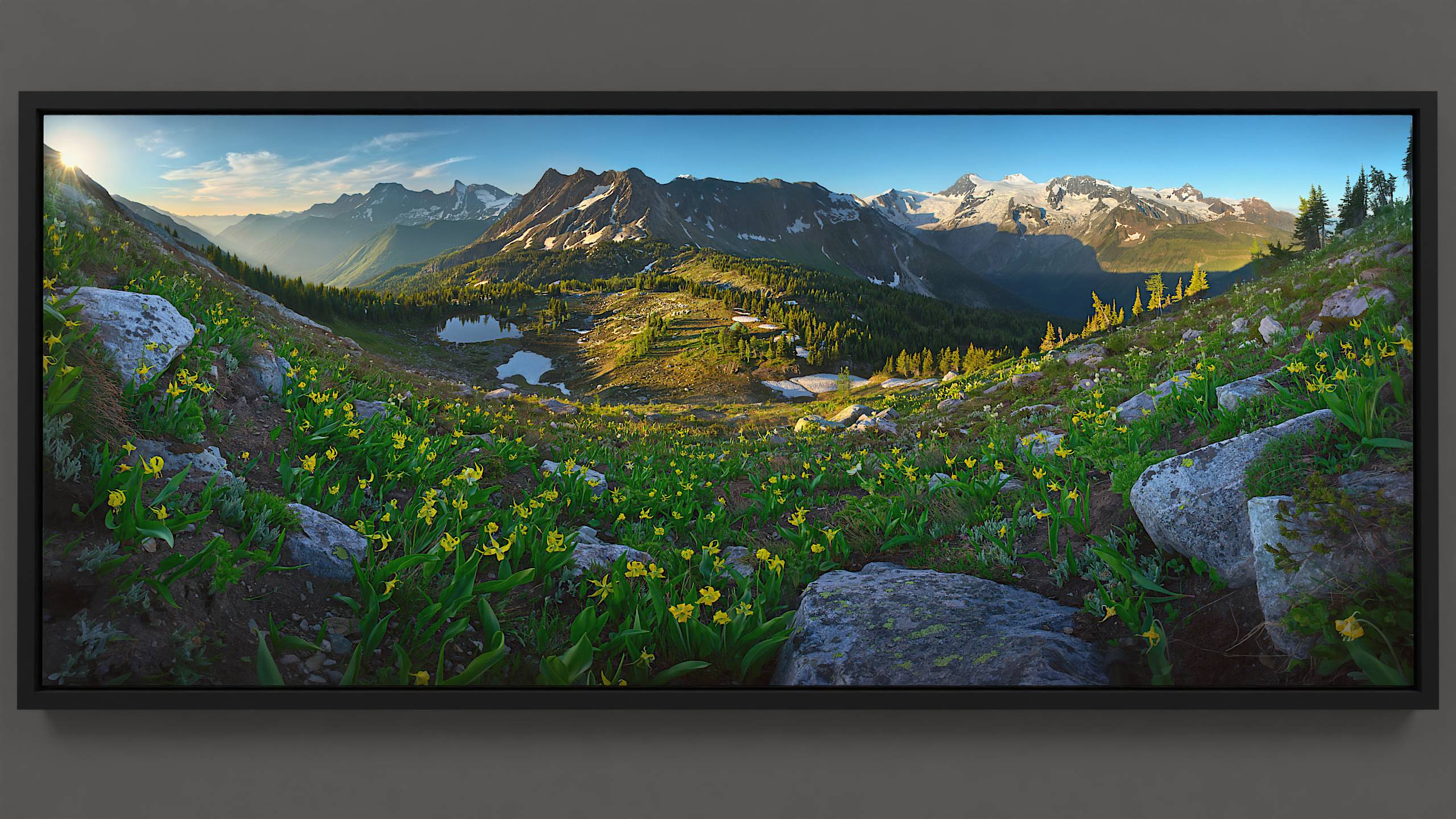 From an alpine hillside among swaying glacier lily wildflowers, a panoramic spring view of Jumbo Pass unfolds. Sunlight gently caresses distant flowers, while the pass below basks in the warmth of the rising sun. Patterns of light and shadow play among trees, a tranquil lake reflects the sky, and a sunlit cabin rests peacefully. Beyond, Bastille Mountain glows under a vibrant sky, adorned with distant, warmly-lit silky clouds. An early morning hike rewards with this unfolding light spectacle.