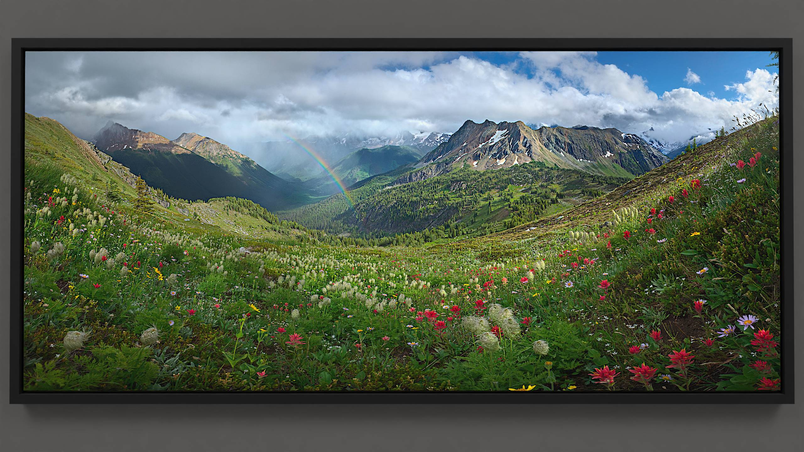 Discover a summer panorama at Jumbo Pass. Wildflowers of vibrant red, purple, and gold sway in the breeze, embellished with fresh raindrops. Below, sunlight pierces the falling rain, casting a rainbow adjacent to Bastille mountain. Overhead, clouds give way to clear blue sky.