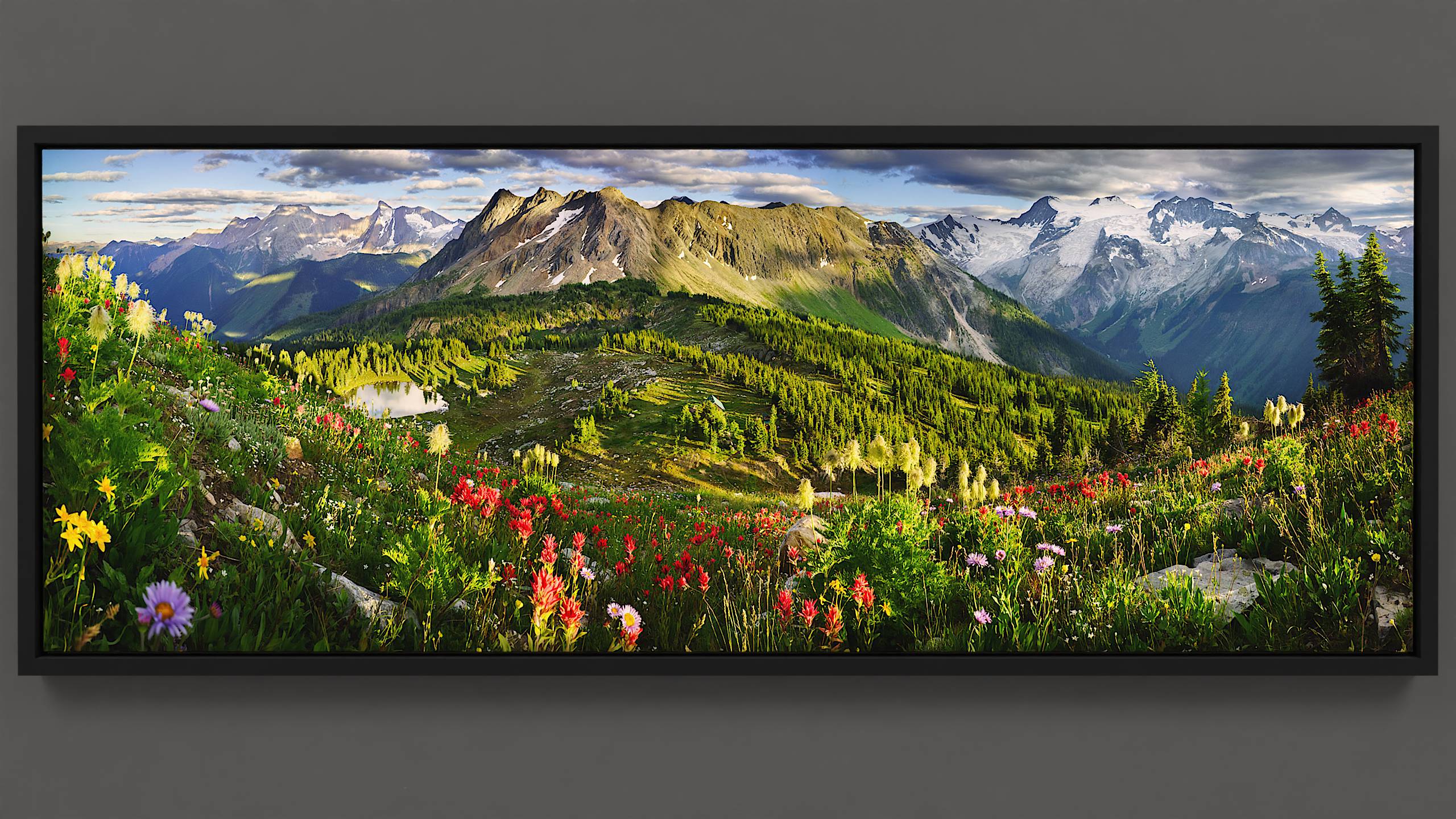In the alpine realm of Jumbo Pass, a summer evening casts warm light on a hillside bursting with vibrant paintbrush, aster, and anemone wildflowers. The pass below, dappled in light and shadow, cradles a lake reflecting cloud patterns. Nearby, the Jumbo cabin nestles quietly, while Bastille Mountain in the distance emanates a warm glow. Beyond, the Horseshoe Glacier subtly asserts its presence, all under a sweeping sky of blue and cloud.