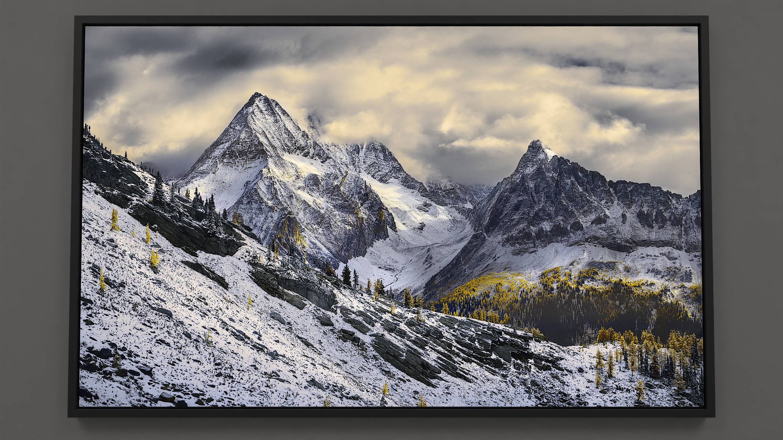 An autumn perspective of Jumbo Pass displays golden larch trees speckling a snowy ridge, the dark rock patterns enhancing the contrast. Mountains Karnak and Jumbo extend from the valley floor, their rocky, snow-laden faces adorned with mottled sunlight patterns. The backdrop presents a dramatic golden sky.