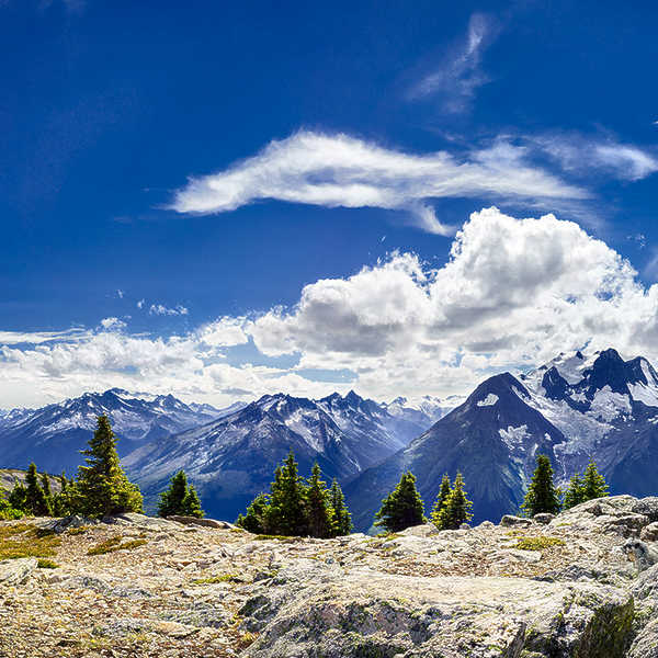Marmot's Mountain World