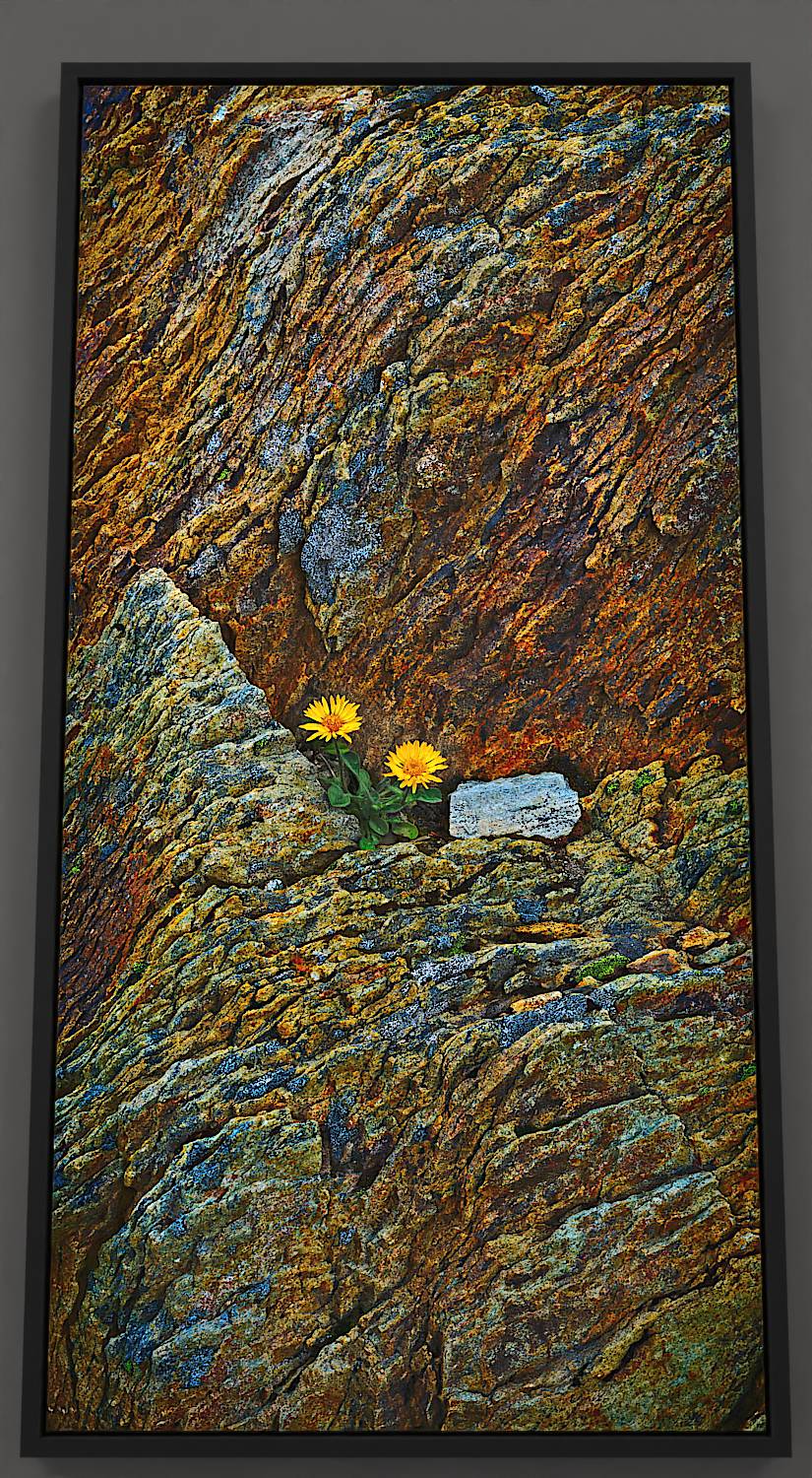 Metamorphic Mural