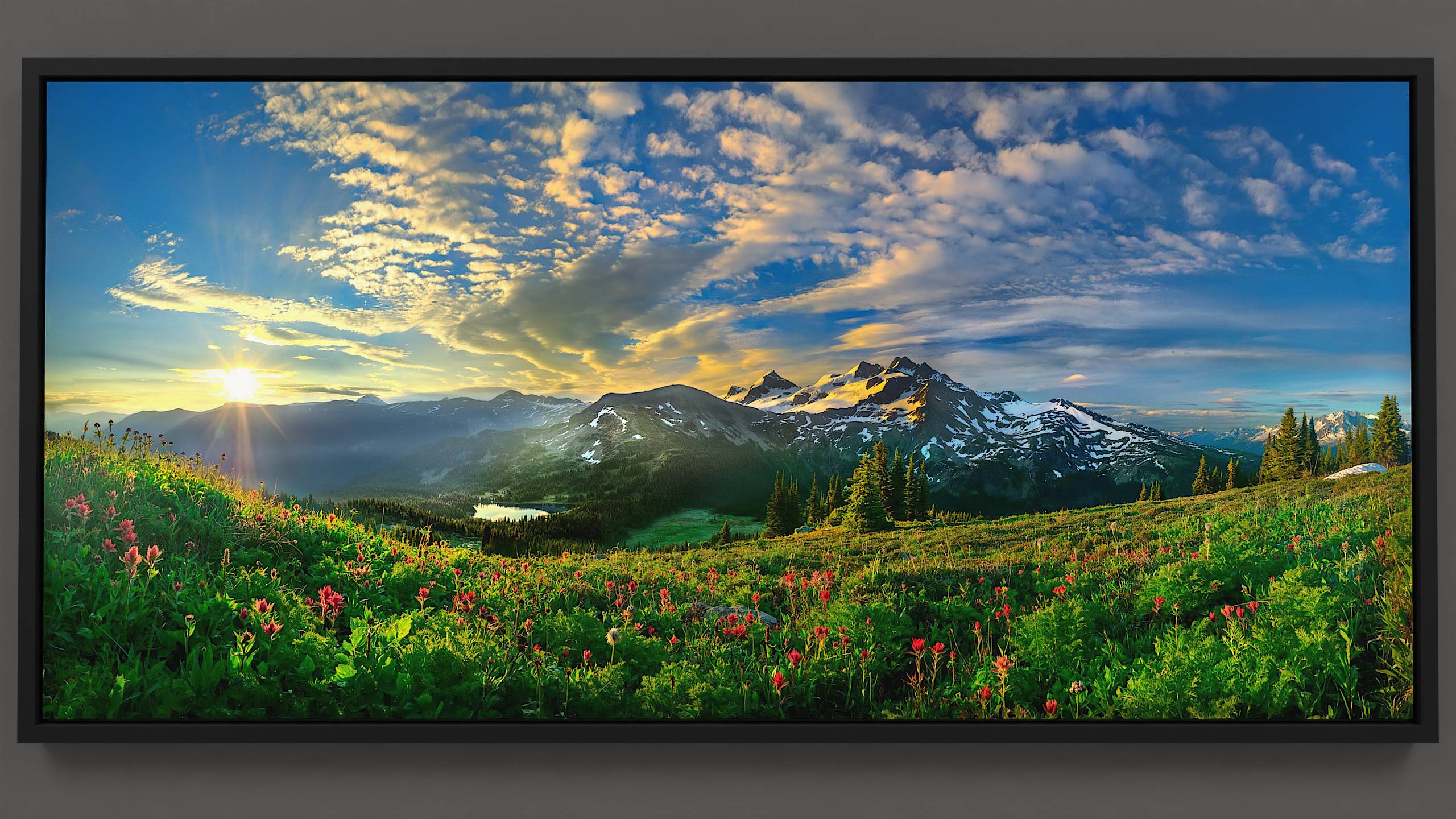 Overlooking an alpine meadow, sunrise paints the scene with light, making dew glisten on paintbrush and anemone wildflowers. A reflective lake nestles near a mountain pass, mirroring a sky blooming with golden clouds. The distant Spilliamsheen glacier, a spectacle of gold and blue, competes with the morning sun bursting over the Rockies.