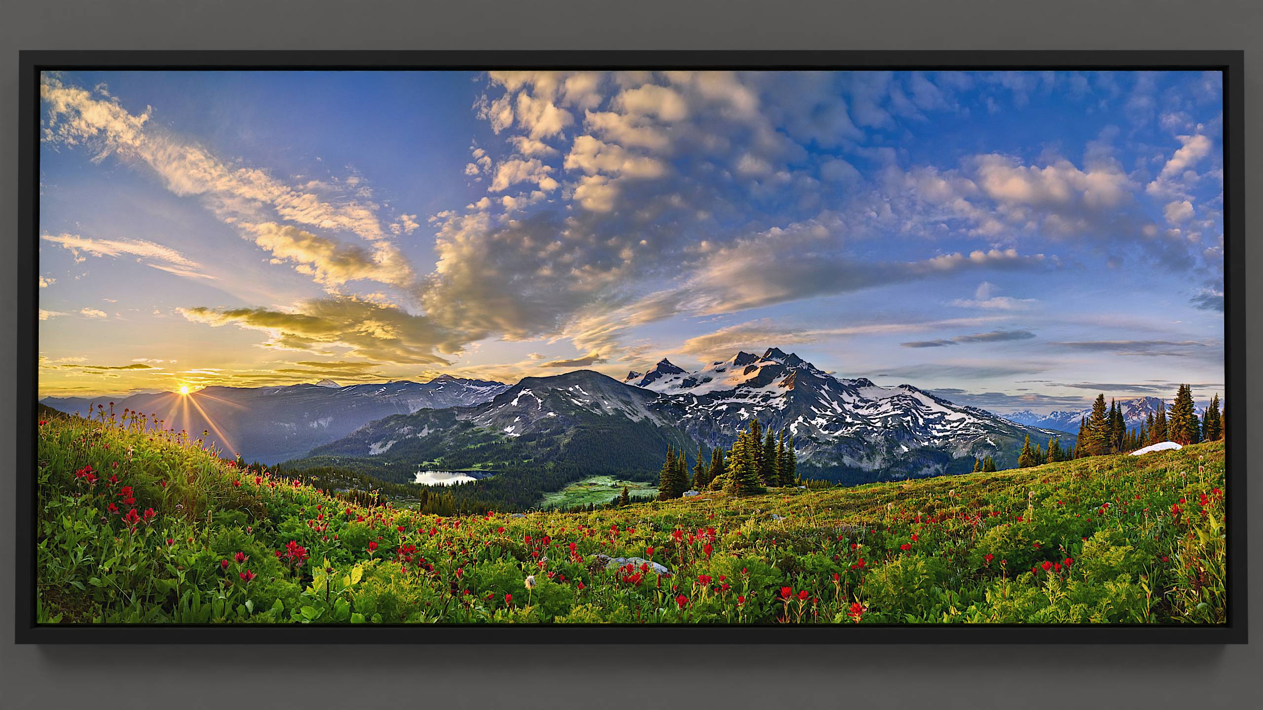 An alpine meadow on Silent Pass awakens to the first rays of the sun. Red paintbrush and anemone wildflowers, adorned with glistening dew drops, illuminate the hillside. A lake at the mountain pass mirrors the sky, while the distant Spillimacheen glacier catches sunlight. Overhead, the expansive blue sky showcases brilliant golden clouds, signalling the sun's rise over the Purcell mountains. Morning graces the landscape.