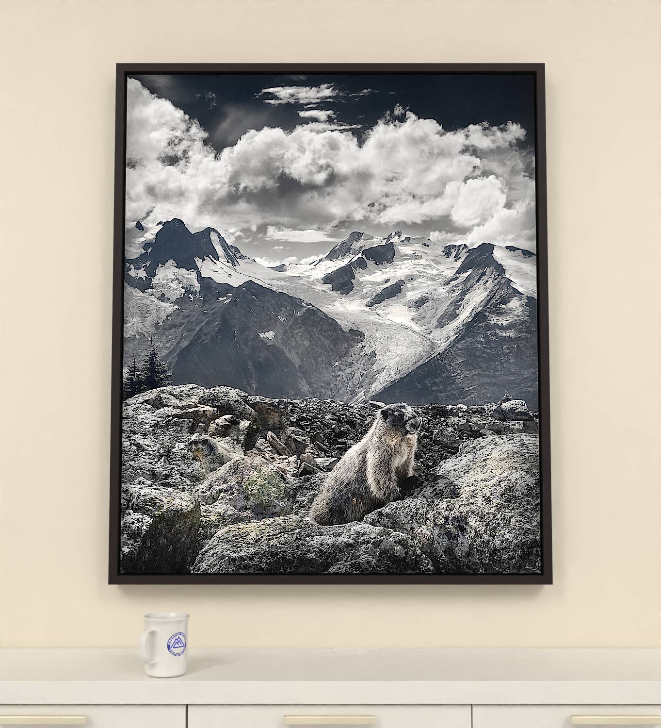 38x46 inch Wrapped canvas print with espresso floater frame. Mountain Hoary Marmots canvas print showcases the creatures that call the alpine world home.