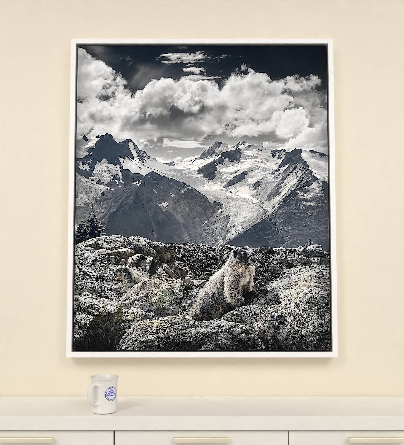 38x46 inch Wrapped canvas print with white floater frame. Mountain Hoary Marmots canvas print showcases the creatures that call the alpine world home.