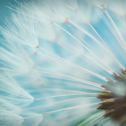 Nature Close-Up: Finding wonder in the details, textures only the mountains reveal.