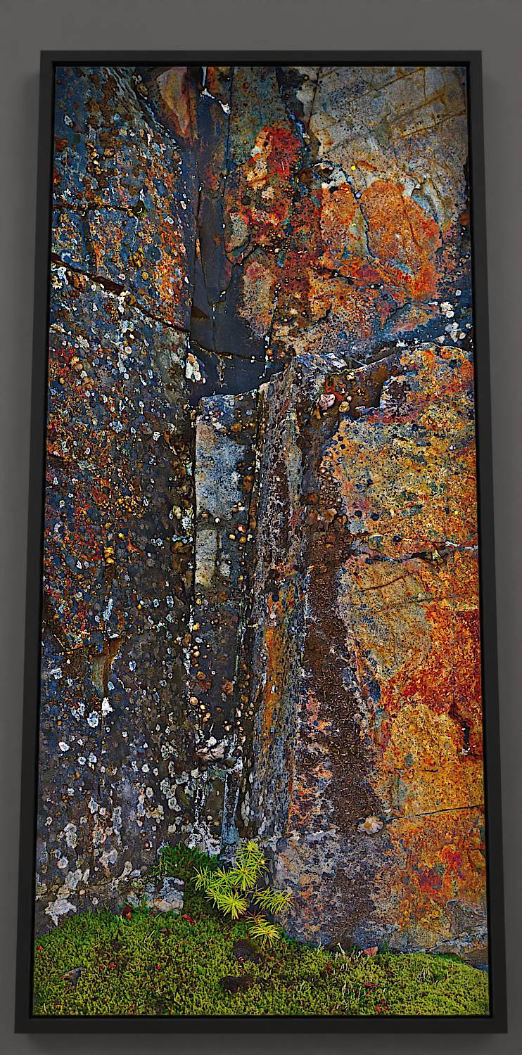 Cliffside Seedling - Textured rocky wall canvas print showcasing fiery reds and cool blues.
