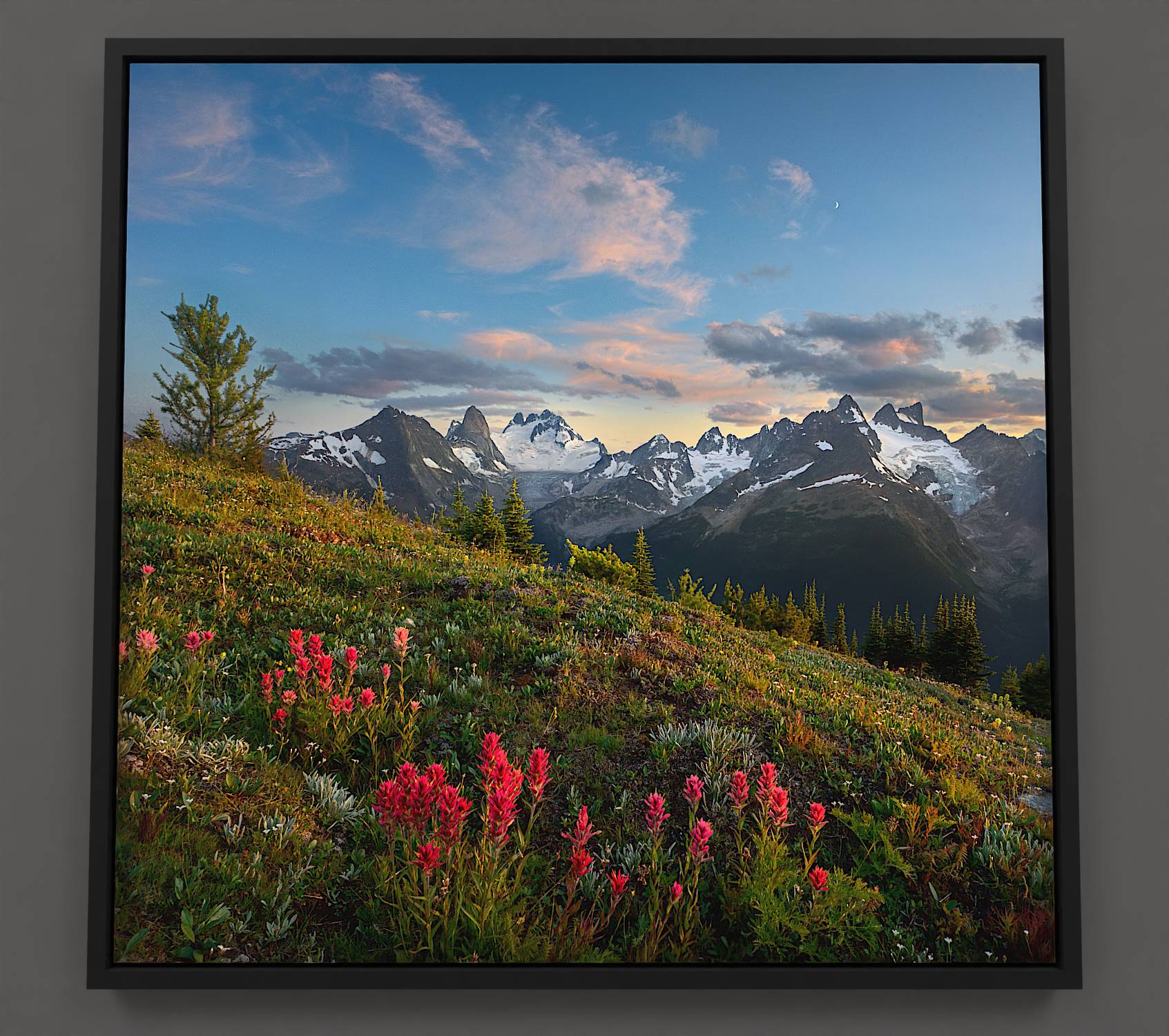 In the Vowel mountain range, a verdant hillside teems with red paintbrush wildflowers amidst fir and alpine larch trees. The valley below introduces jagged Vowel peaks, blue glaciers cradling their tops. Bugaboo Spire and Howser Tower, with its snowy base, pierce the horizon. Above, a cerulean sky dances with sweeping cirrus clouds and billowing cumulus shapes, punctuated by a shy moon.