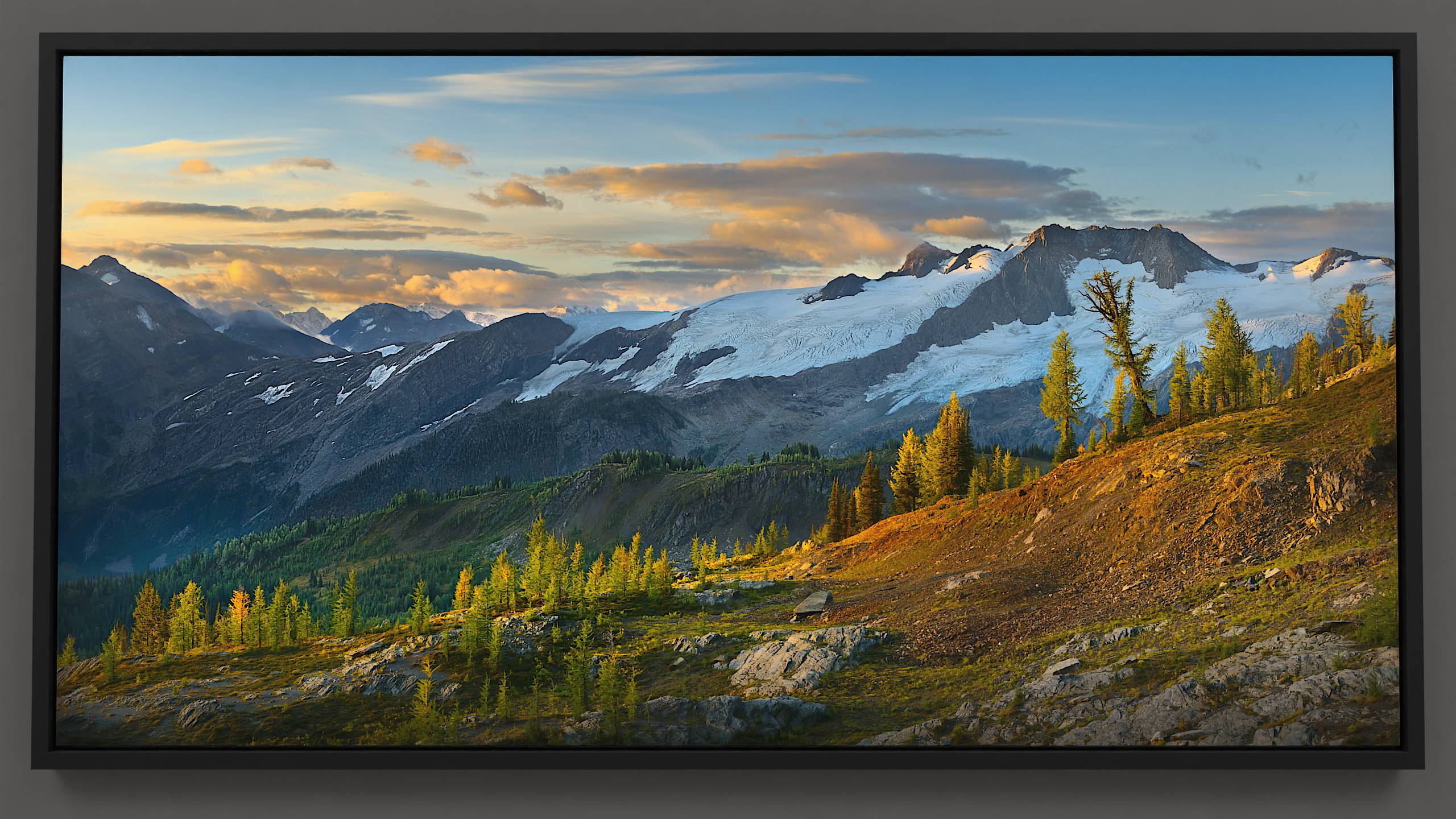 In a late summer morning in Silver Basin, the rising sun gently lights a ridge under a sky with painterly clouds. The Quintet range under an orange hue sits above a blue-toned glacier, while nearby, larch trees on a rolling ridge start to turn gold.
