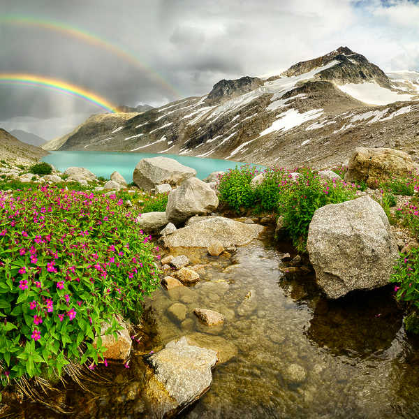 Rainbow Suprise