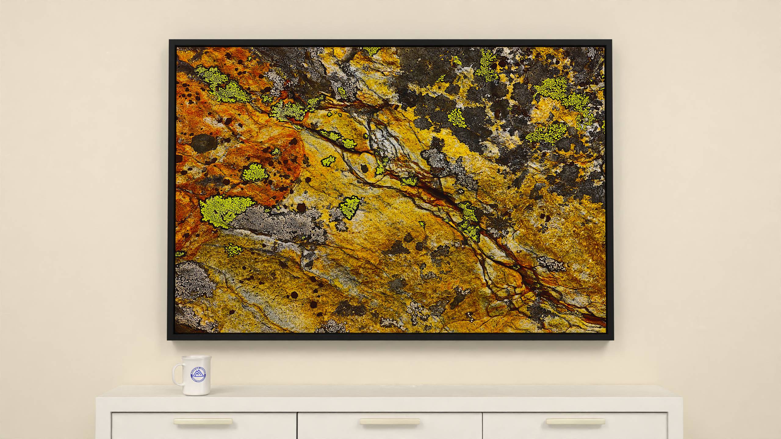 57x38 inch Wrapped canvas print with black floater frame. Colorful alpine rock canvas print: textured surface with lichens in deep black, yellow & white.