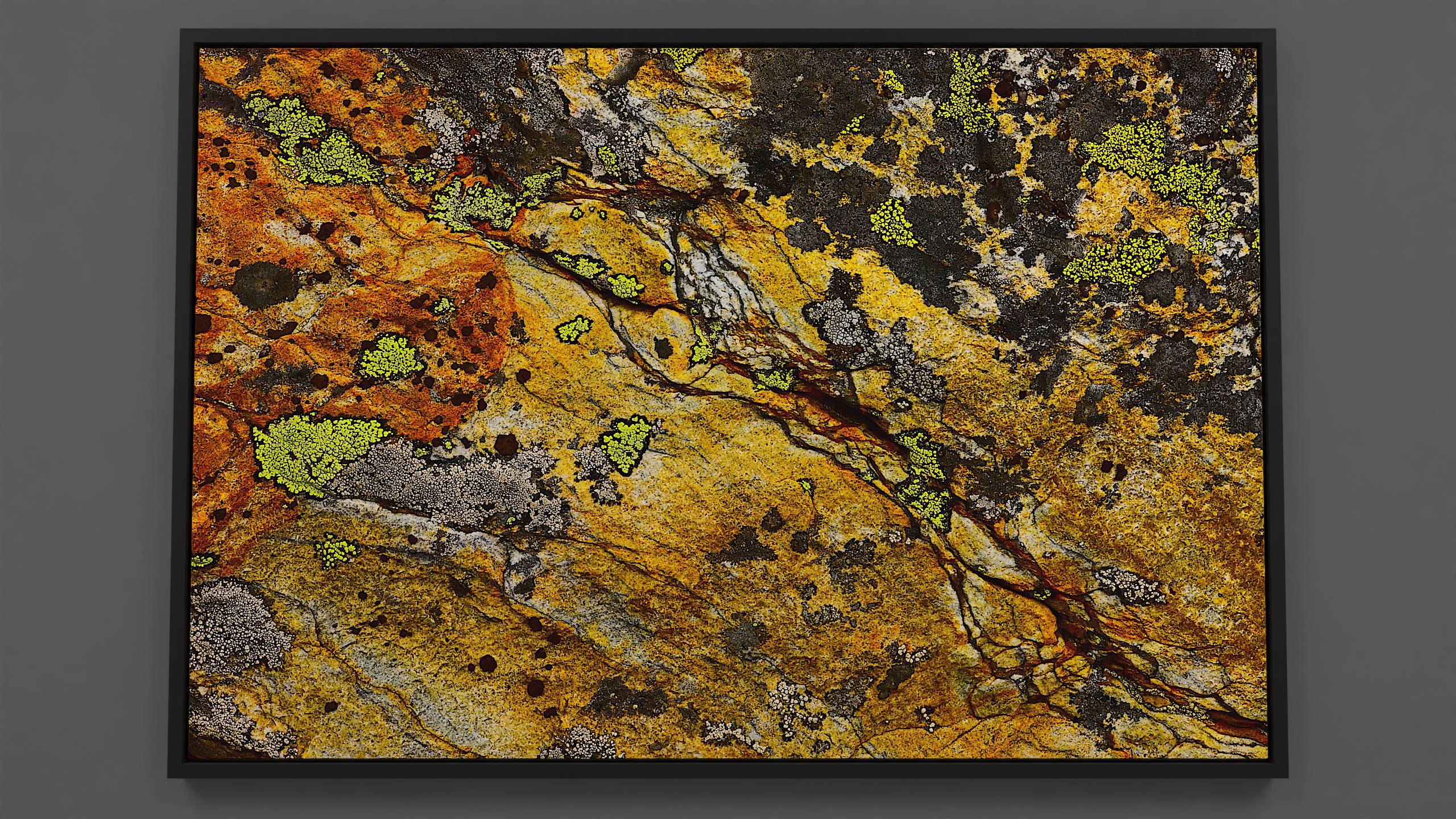 Rock Abstract - Colorful alpine rock canvas print: textured surface with lichens in deep black, yellow & white.