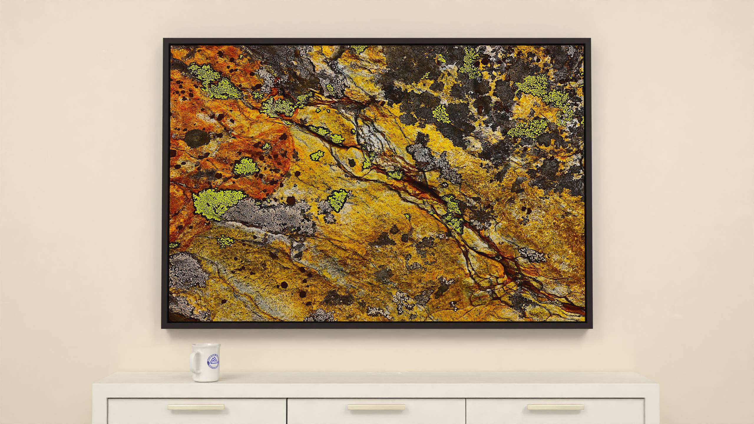 57x38 inch Wrapped canvas print with espresso floater frame. Colorful alpine rock canvas print: textured surface with lichens in deep black, yellow & white.